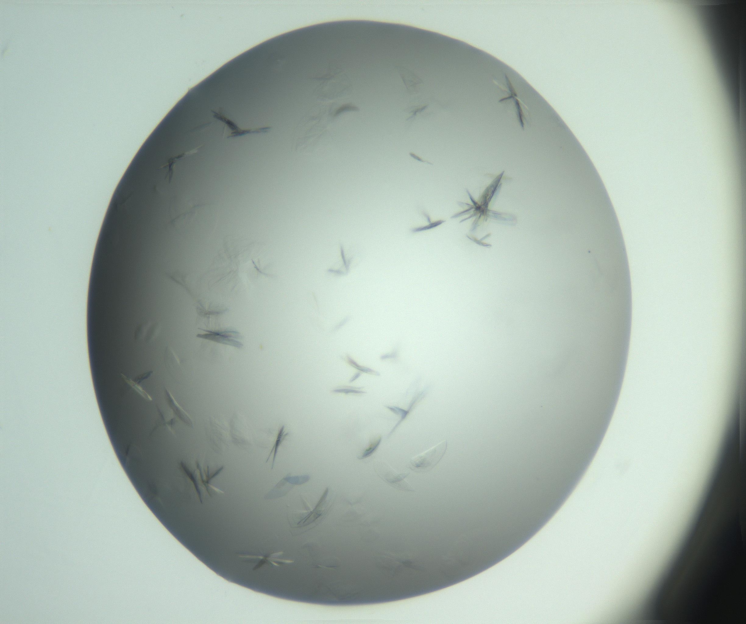 RI01_03_000_0212_Proj1_Clon1_MC_0000MC102988_003_161119_03_03_01_00_99_002_001_RAI.jpg