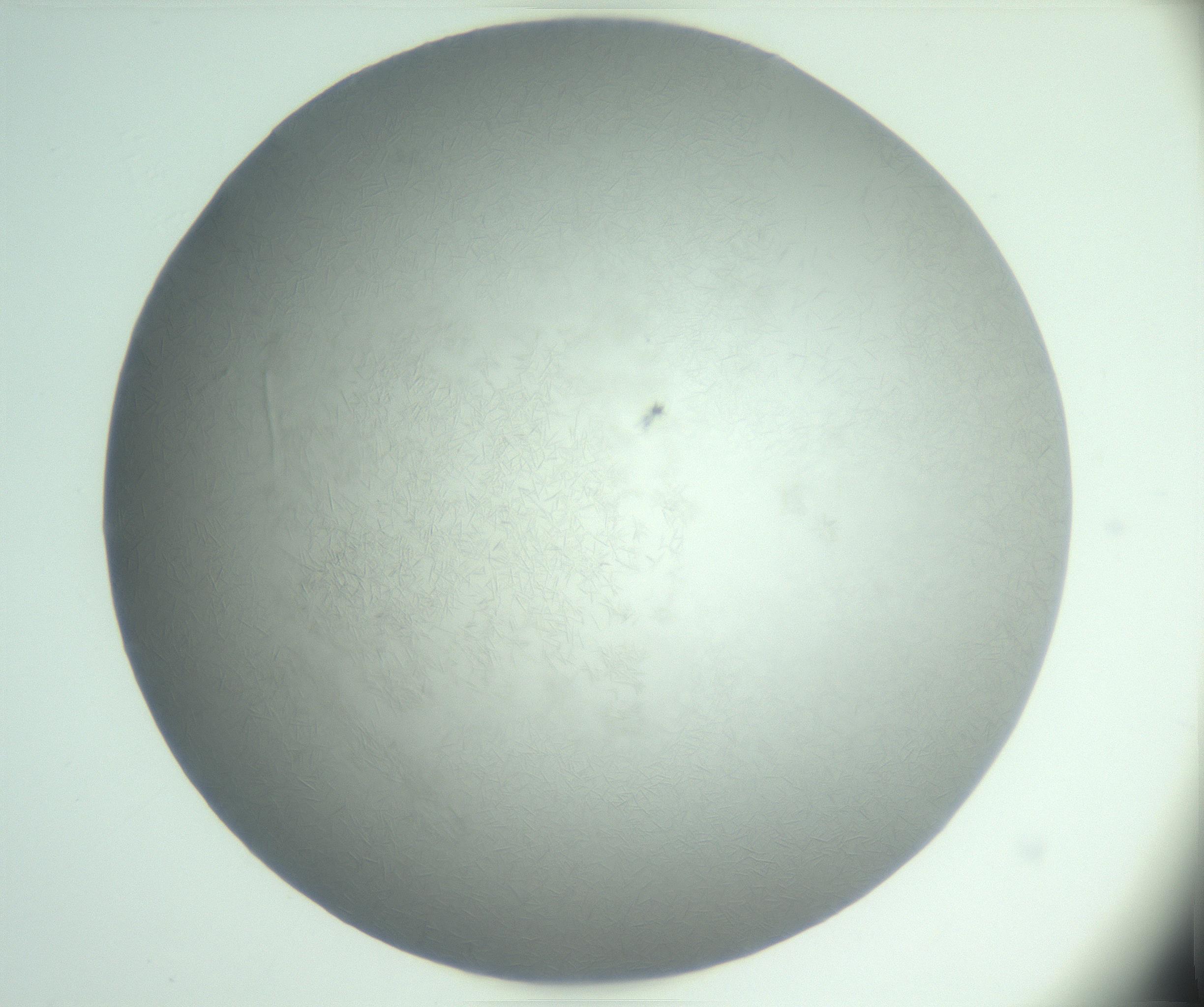 RI01_03_000_0212_Proj1_Clon1_MC_0000MC102988_003_161119_03_04_01_00_99_002_001_RAI.jpg