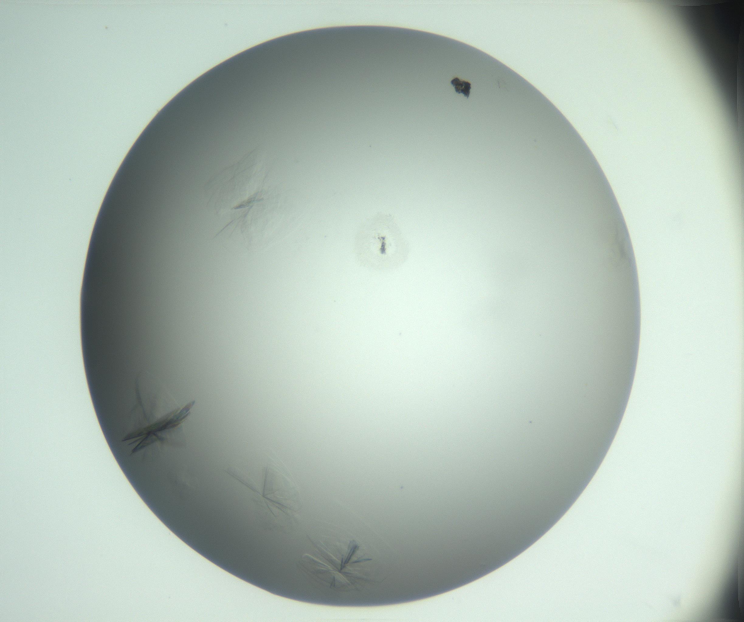 RI01_03_000_0212_Proj1_Clon1_MC_0000MC102988_003_161119_03_05_01_00_99_002_001_RAI.jpg