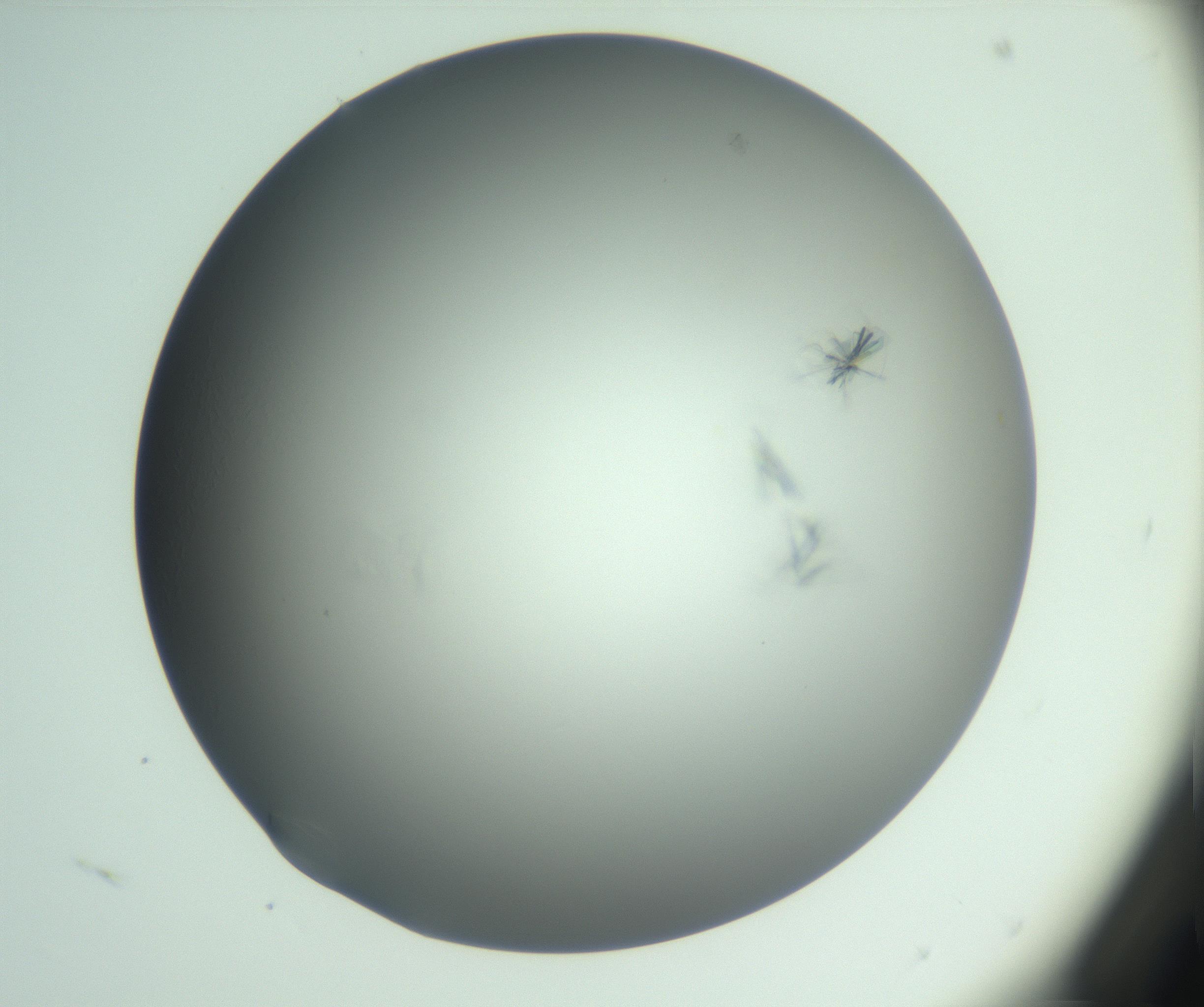 RI01_03_000_0212_Proj1_Clon1_MC_0000MC102988_003_161119_04_03_01_00_99_002_001_RAI.jpg