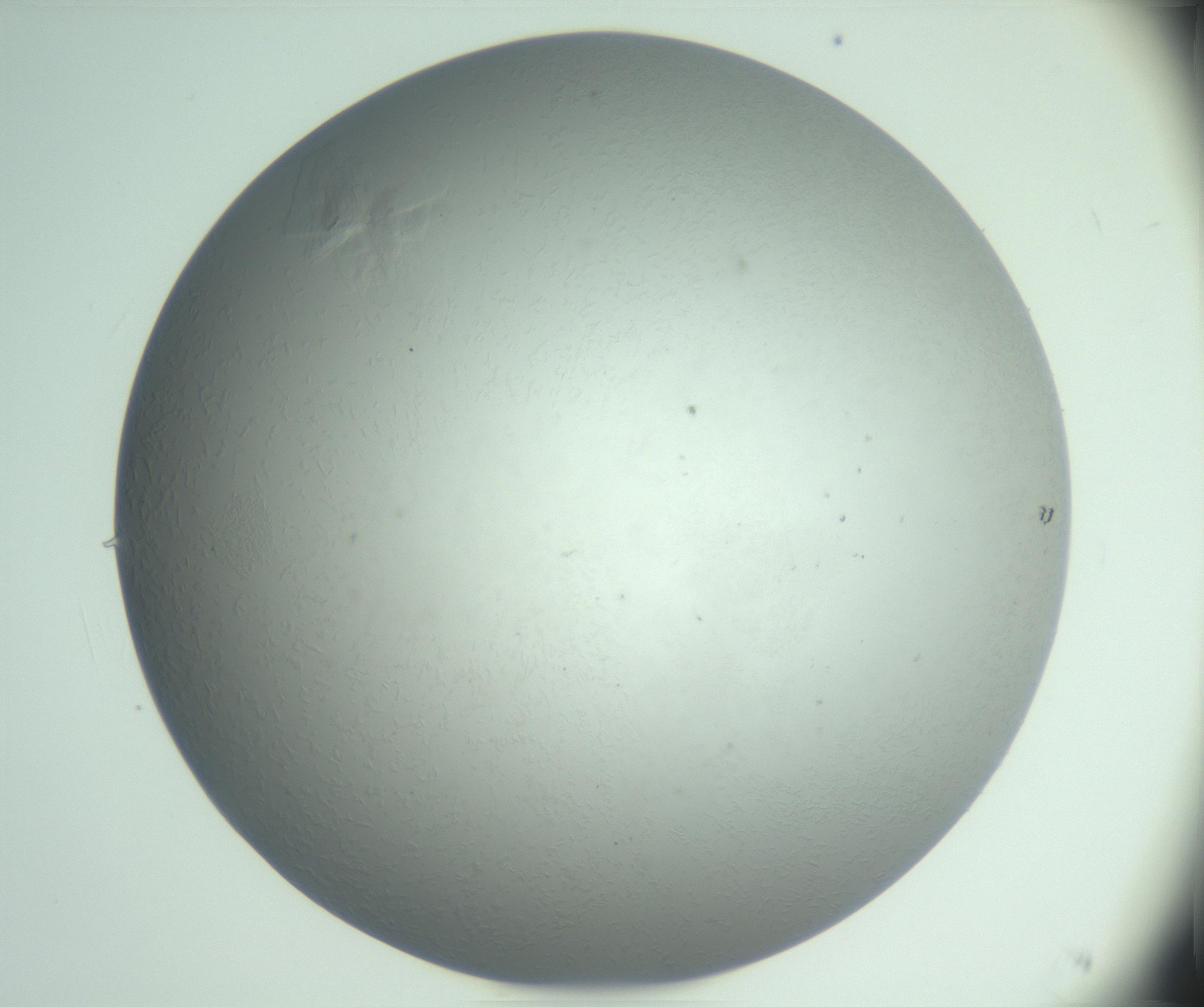 RI01_03_000_0212_Proj1_Clon1_MC_0000MC102988_003_161119_04_05_01_00_99_002_001_RAI.jpg