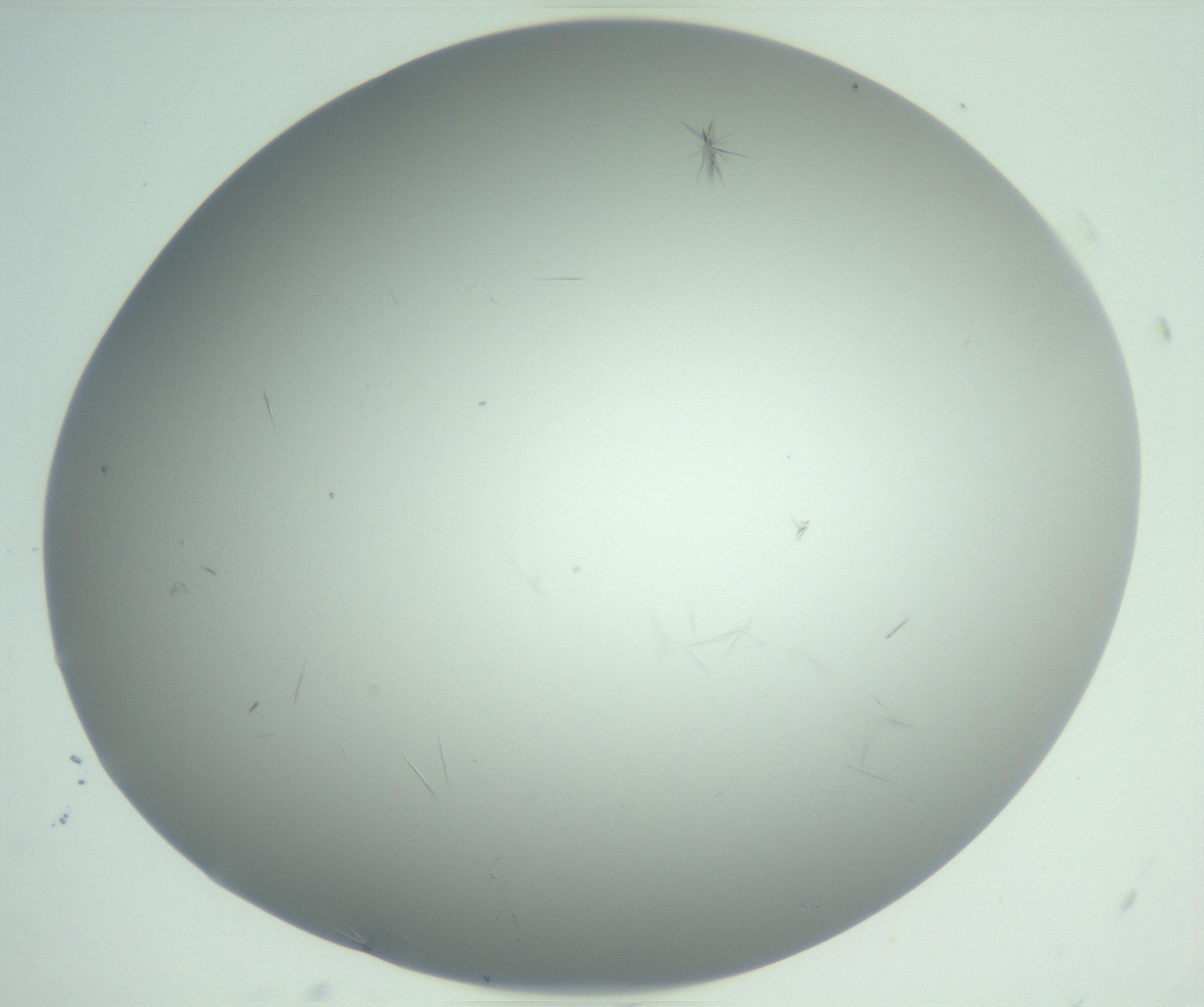 RI01_03_000_0212_Proj1_Clon1_MC_0000MC102988_003_161119_05_07_02_00_99_002_001_RAI.jpg