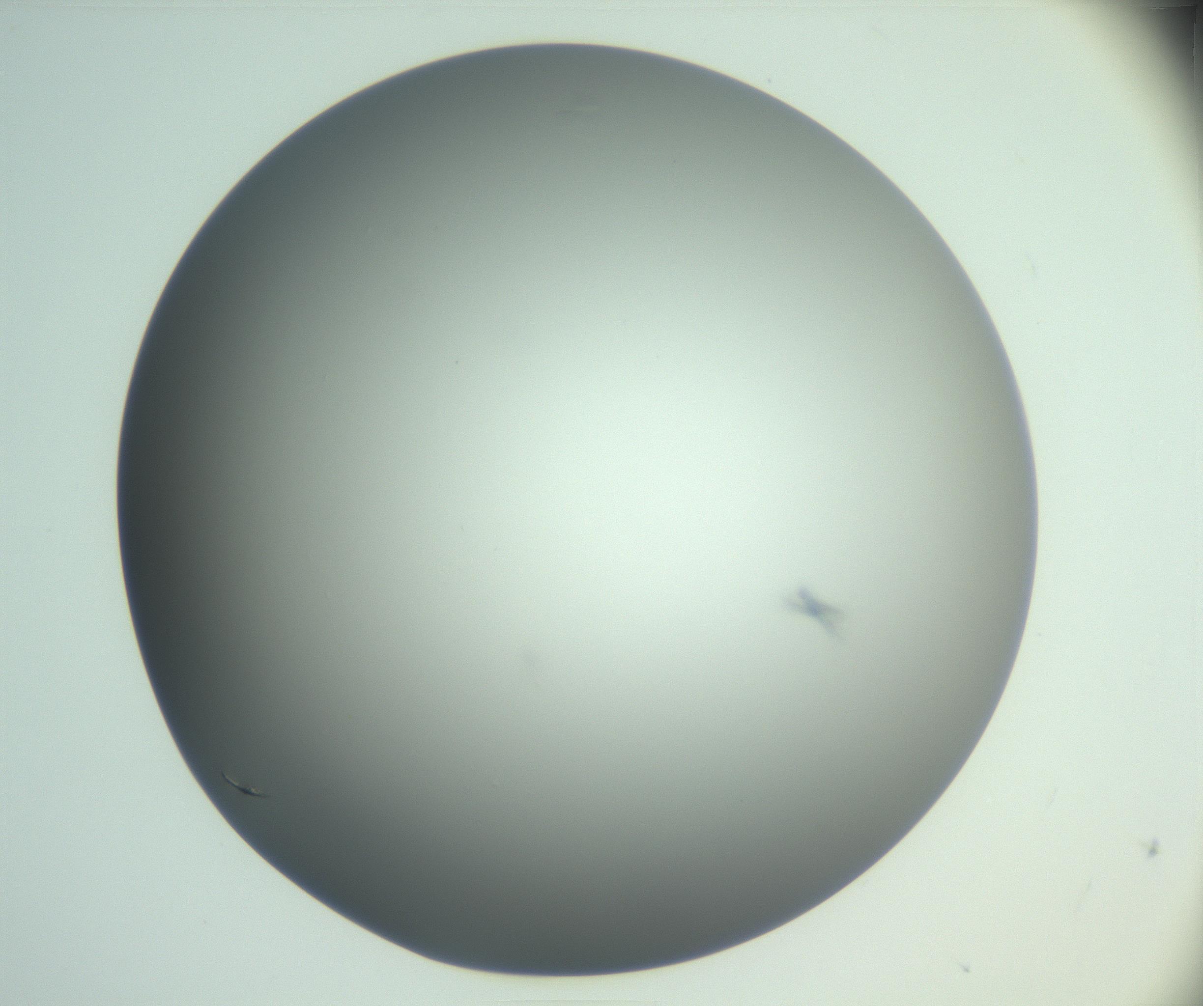 RI01_03_000_0212_Proj1_Clon1_MC_0000MC102988_003_161119_06_08_01_00_99_002_001_RAI.jpg
