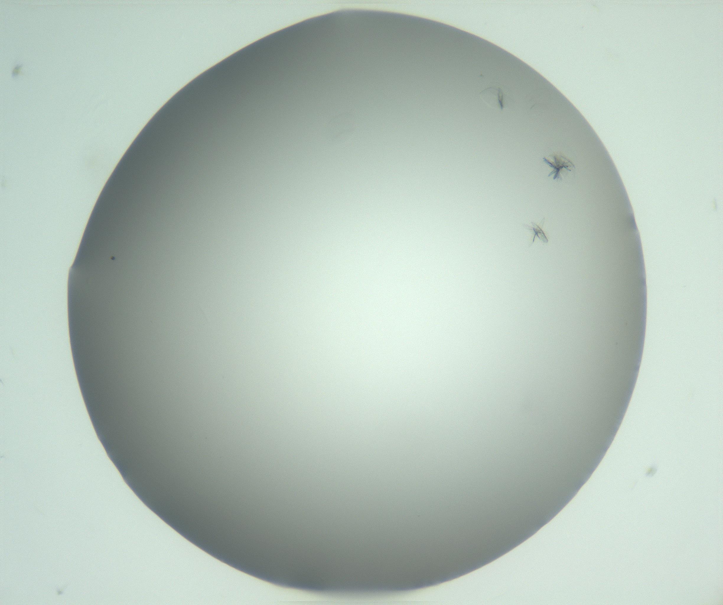 RI01_03_000_0212_Proj1_Clon1_MC_0000MC102988_003_161119_07_02_01_00_99_002_001_RAI.jpg