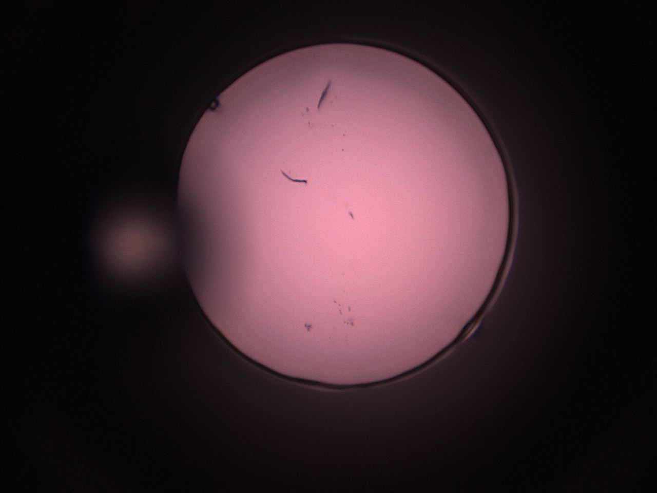 05i4_L8_ImagerDefaults_9.jpg