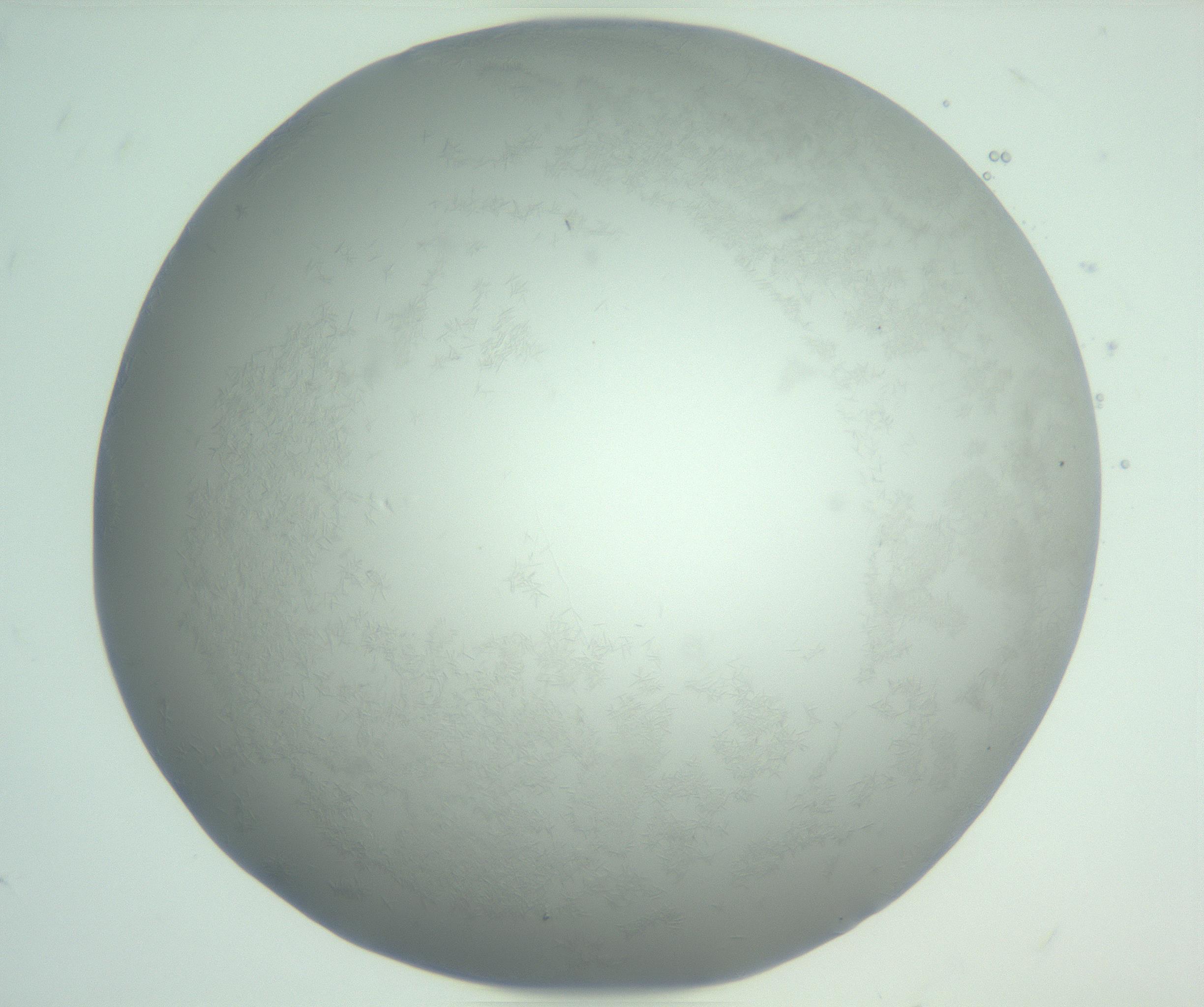 RI01_03_000_0212_Proj1_Clon1_MC_0000MC102988_003_161119_07_08_01_00_99_002_001_RAI.jpg