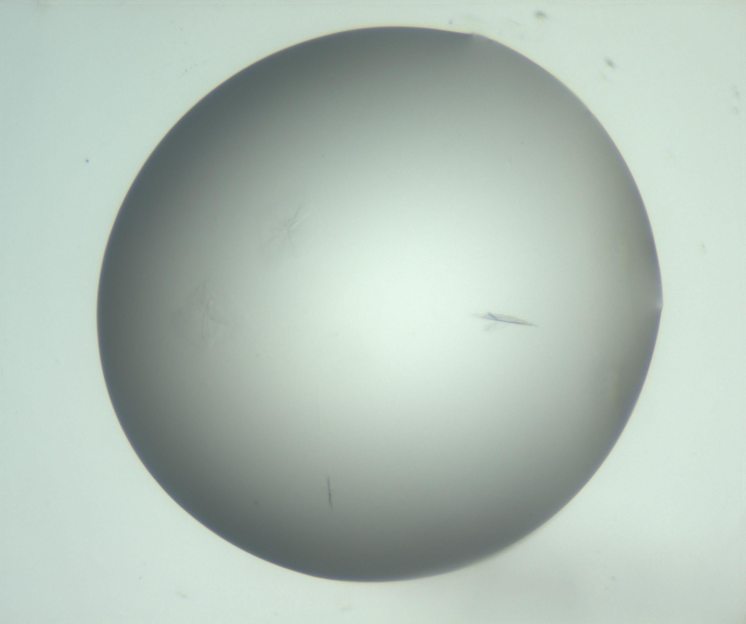 RI01_03_000_0212_Proj1_Clon1_MC_0000MC102988_003_161119_08_02_01_00_99_002_001_RAI.jpg