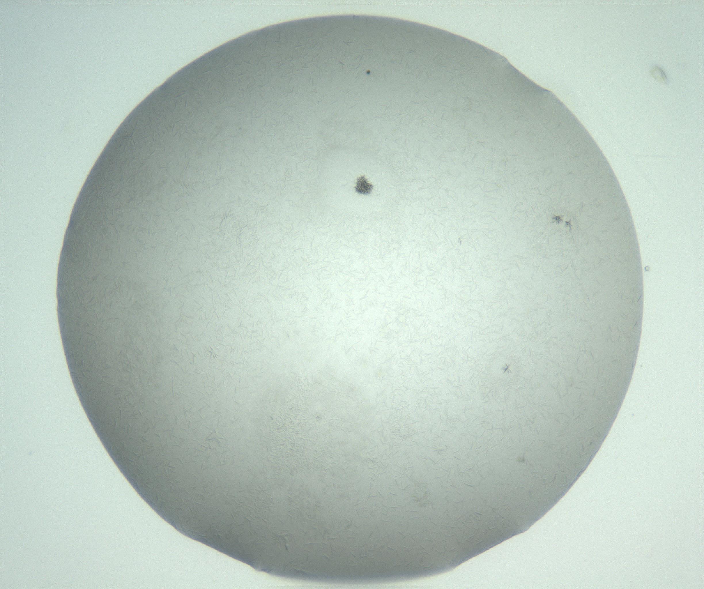 RI01_03_000_0212_Proj1_Clon1_MC_0000MC102988_003_161119_08_06_01_00_99_002_001_RAI.jpg