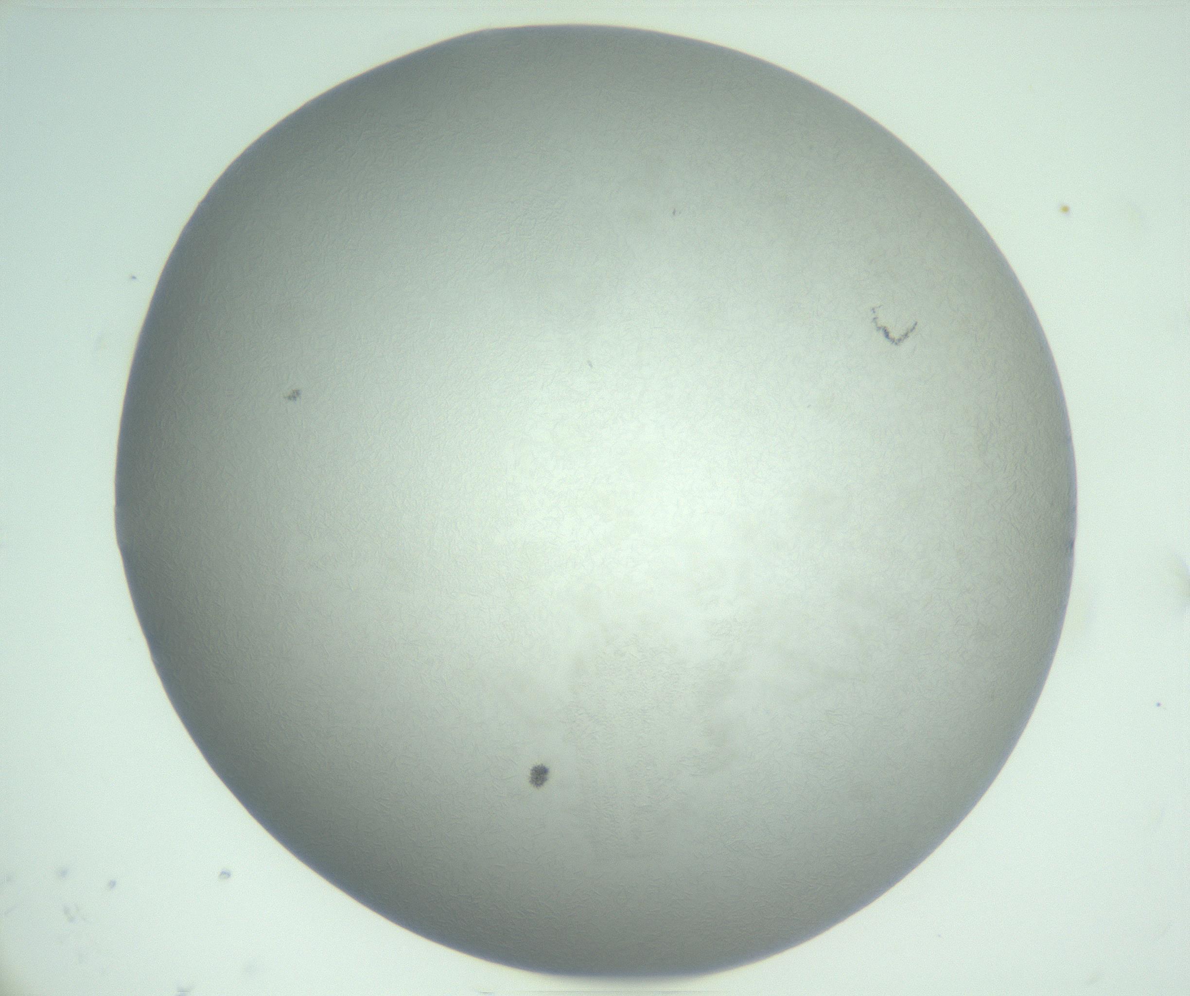RI01_03_000_0212_Proj1_Clon1_MC_0000MC102988_003_161119_09_01_01_00_99_002_001_RAI.jpg