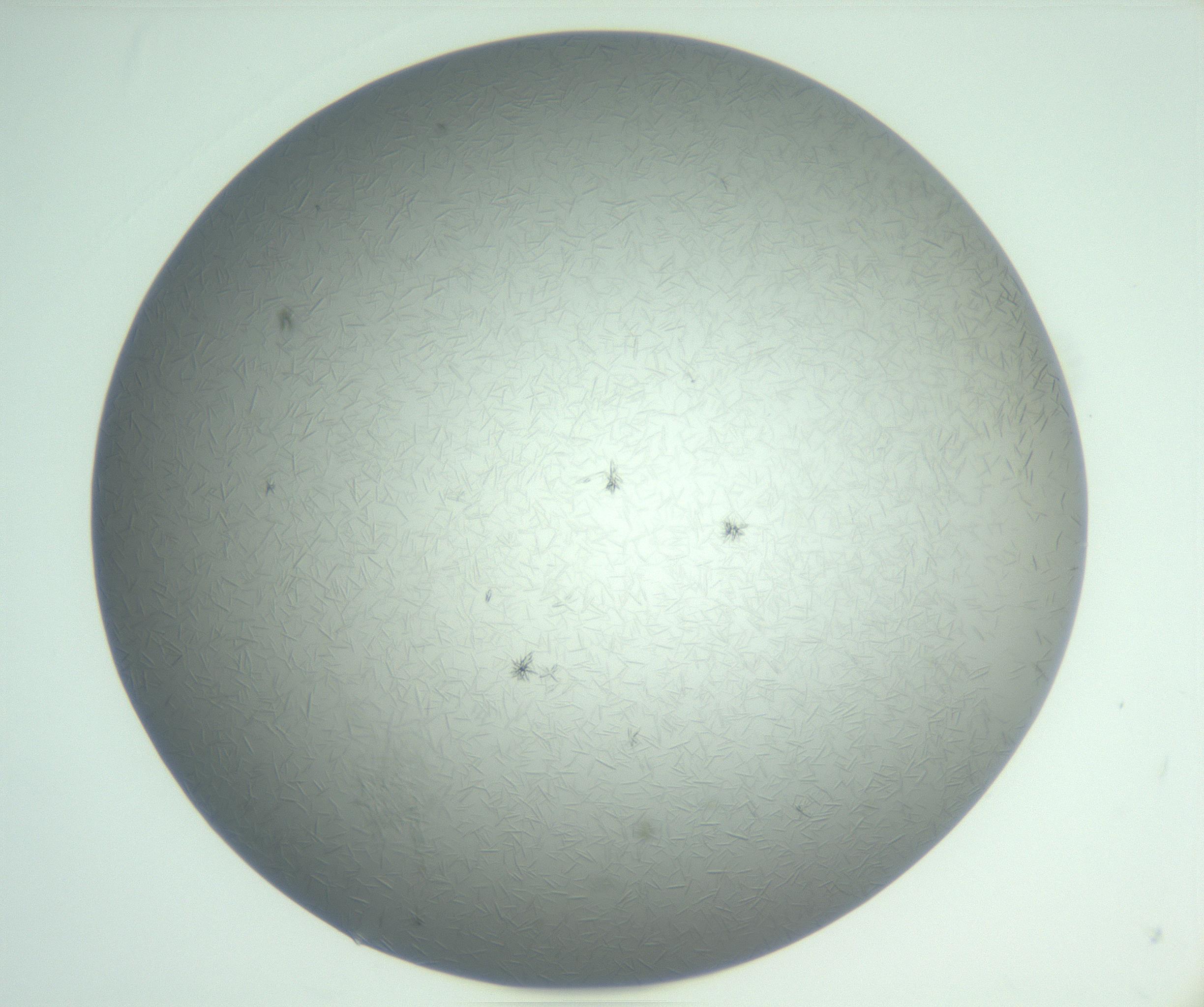 RI01_03_000_0212_Proj1_Clon1_MC_0000MC102988_003_161119_09_05_01_00_99_002_001_RAI.jpg