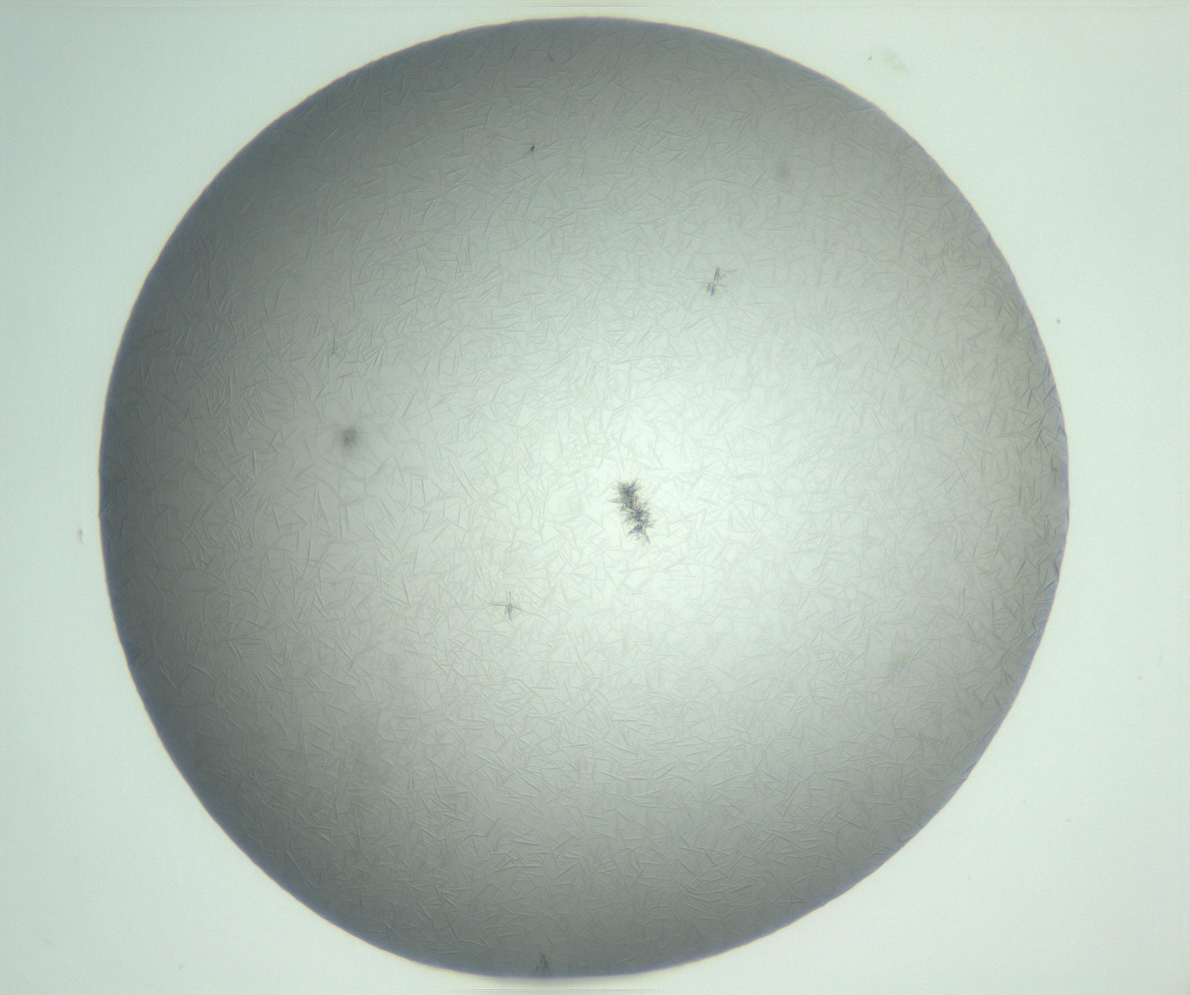 RI01_03_000_0212_Proj1_Clon1_MC_0000MC102988_003_161119_10_03_01_00_99_002_001_RAI.jpg