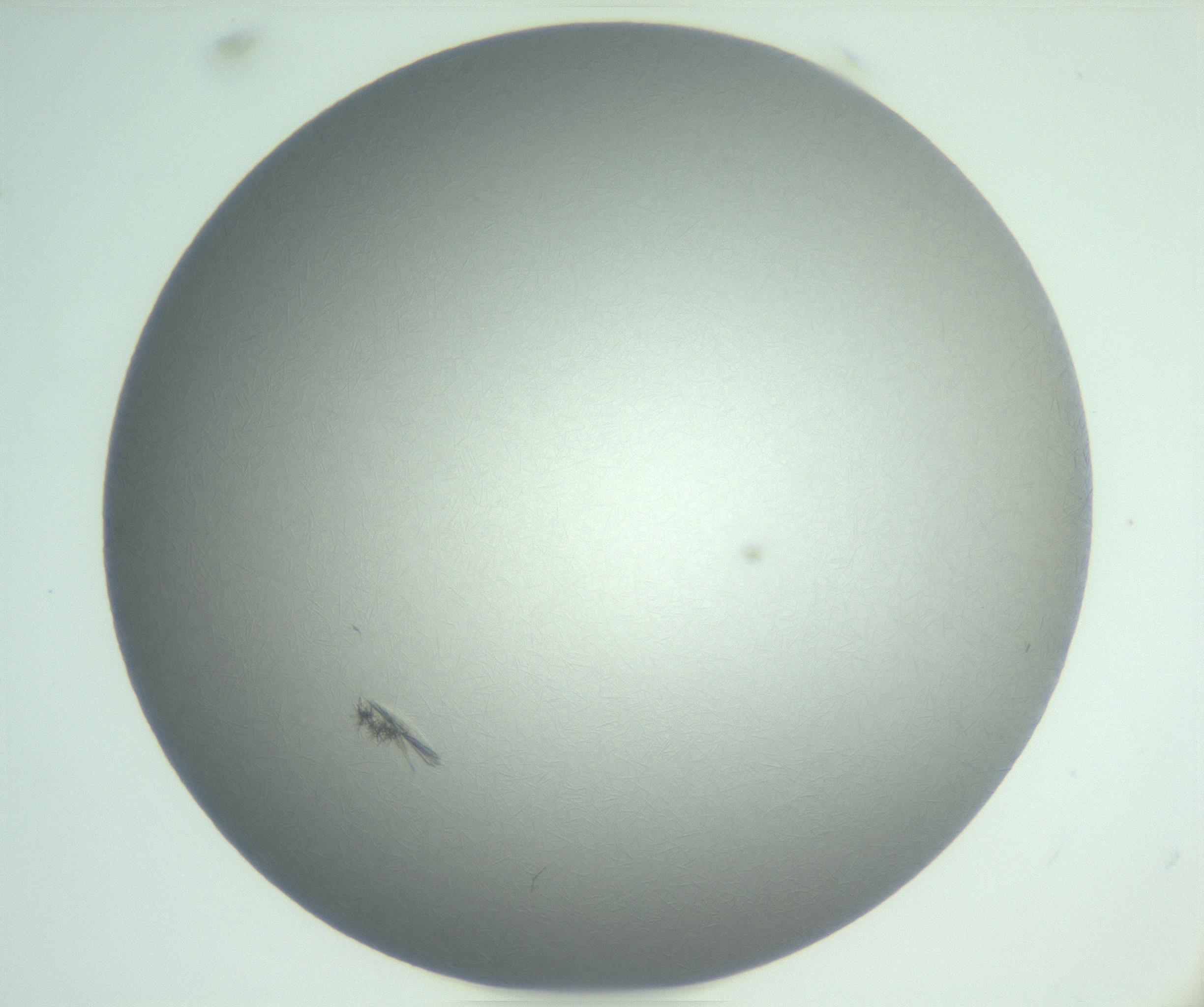RI01_03_000_0212_Proj1_Clon1_MC_0000MC102988_003_161119_10_05_01_00_99_002_001_RAI.jpg