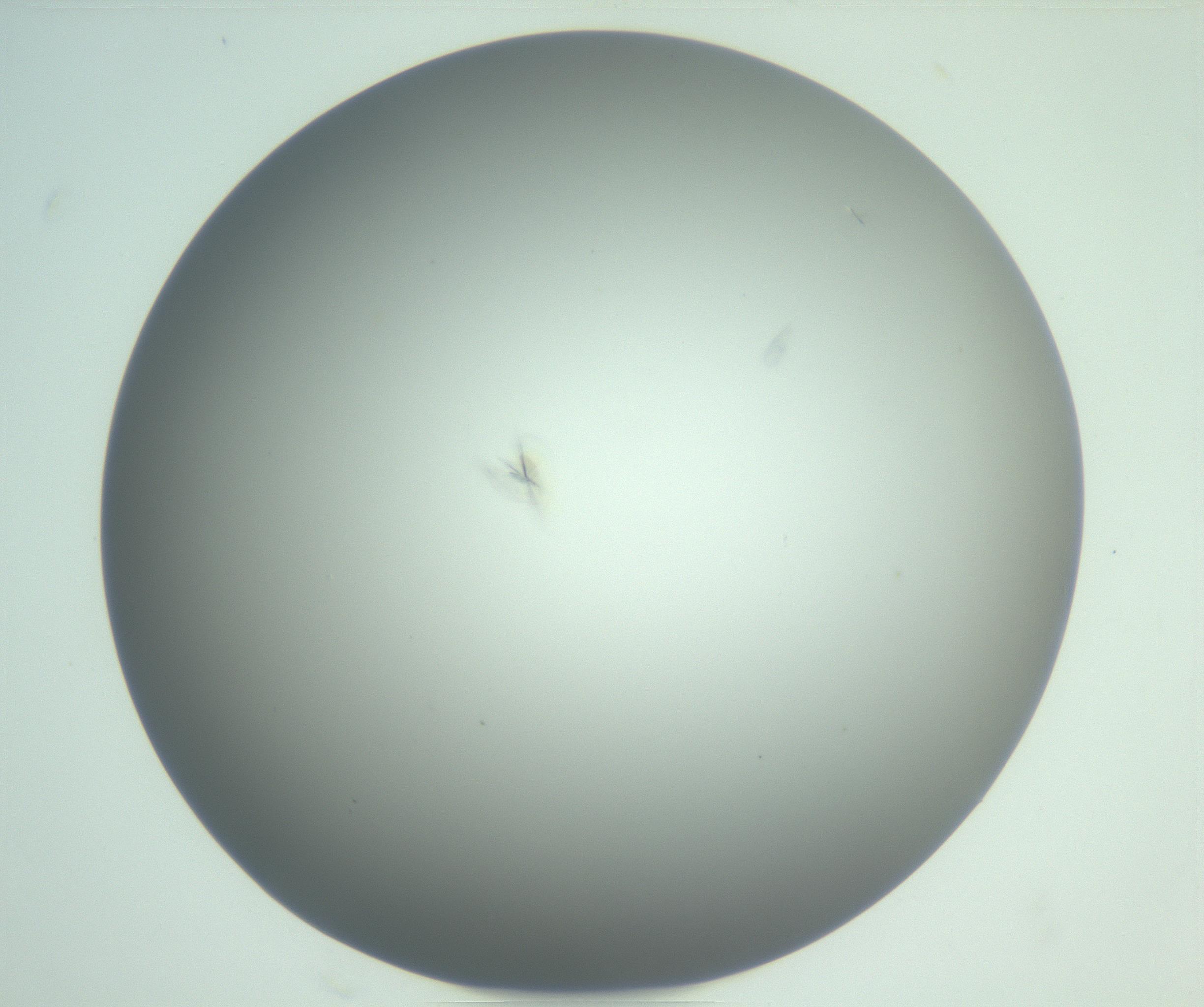 RI01_03_000_0212_Proj1_Clon1_MC_0000MC102988_003_161119_10_08_01_00_99_002_001_RAI.jpg