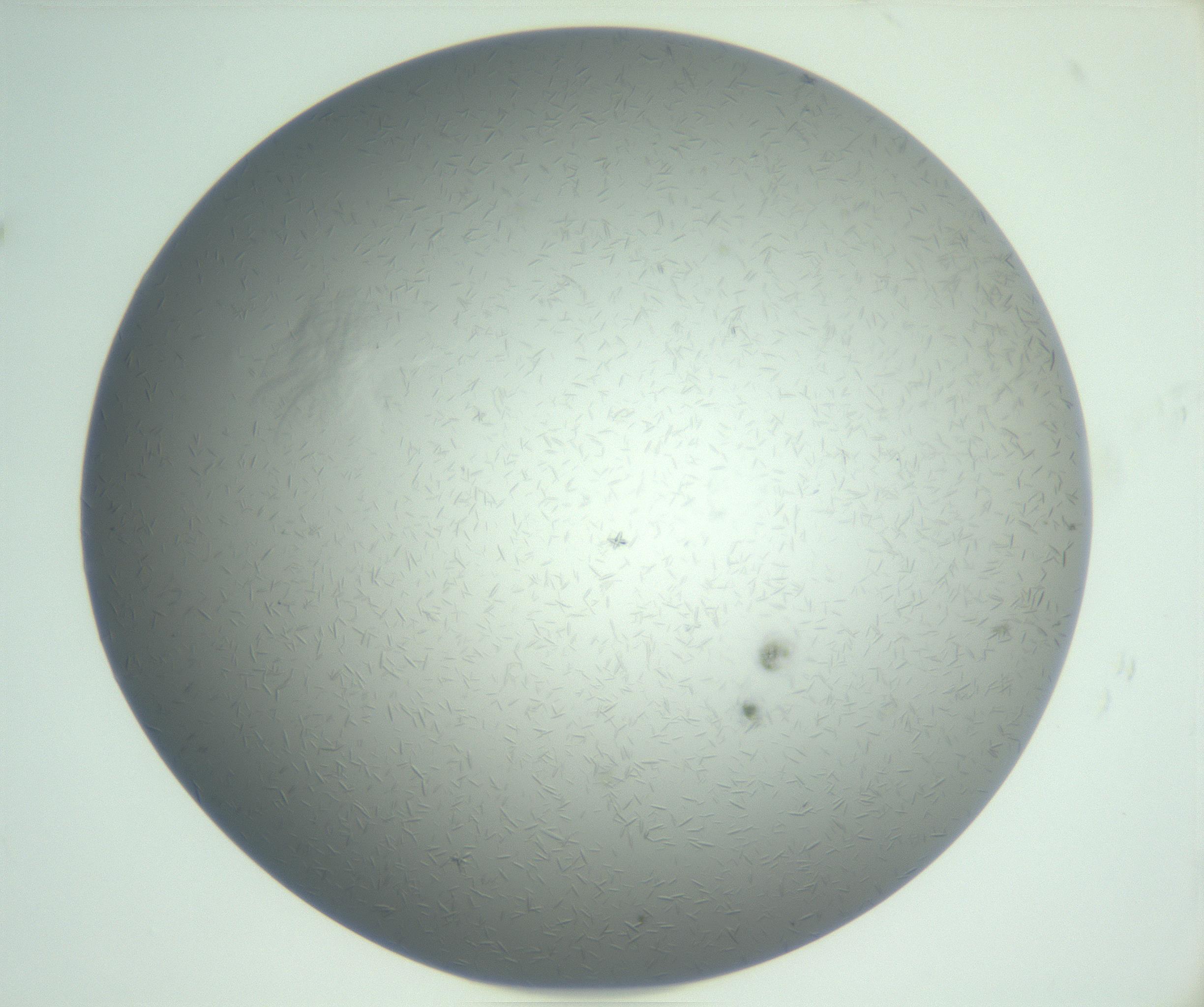 RI01_03_000_0212_Proj1_Clon1_MC_0000MC102988_003_161119_11_05_01_00_99_002_001_RAI.jpg