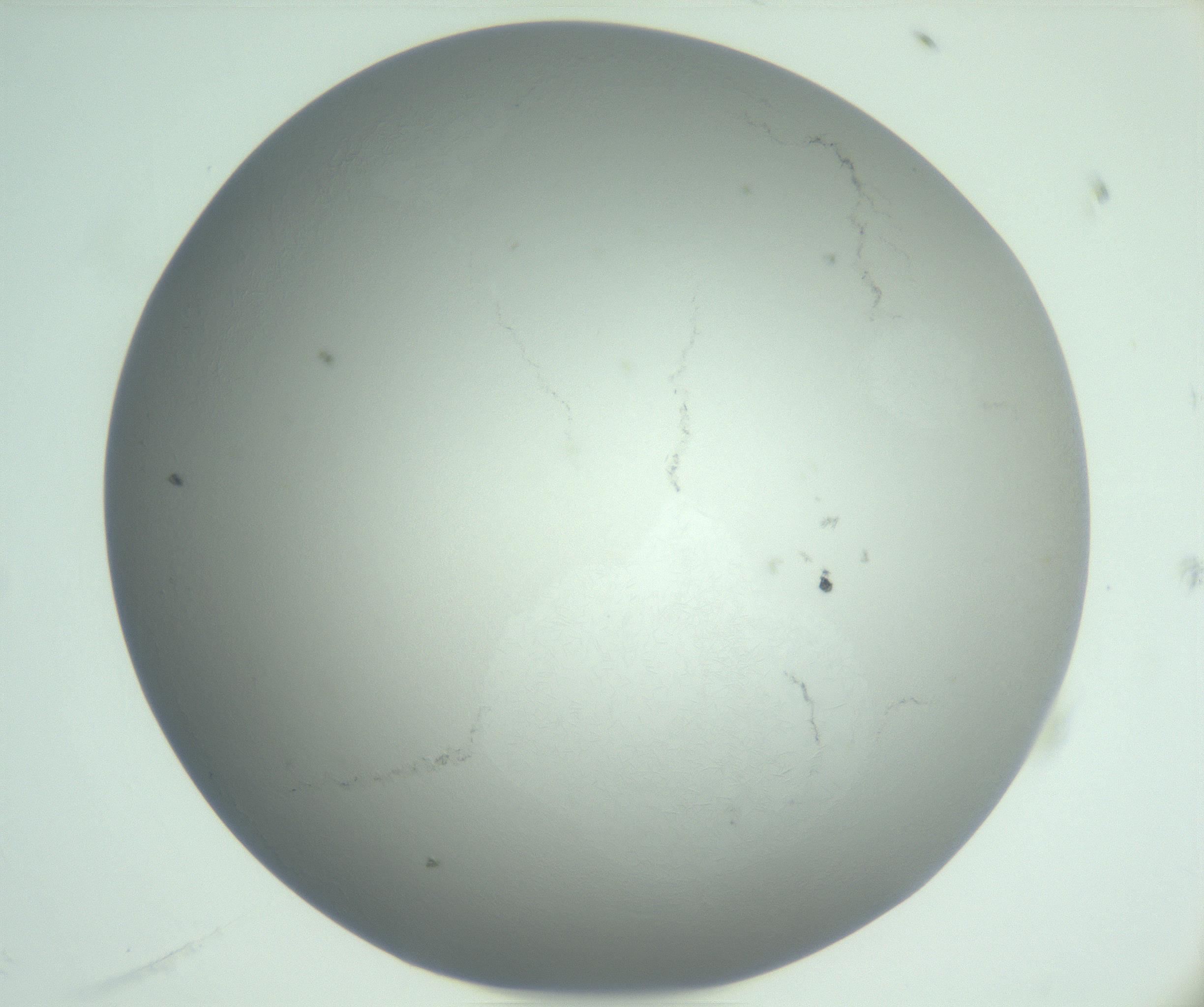 RI01_03_000_0212_Proj1_Clon1_MC_0000MC102988_003_161119_11_06_01_00_99_002_001_RAI.jpg