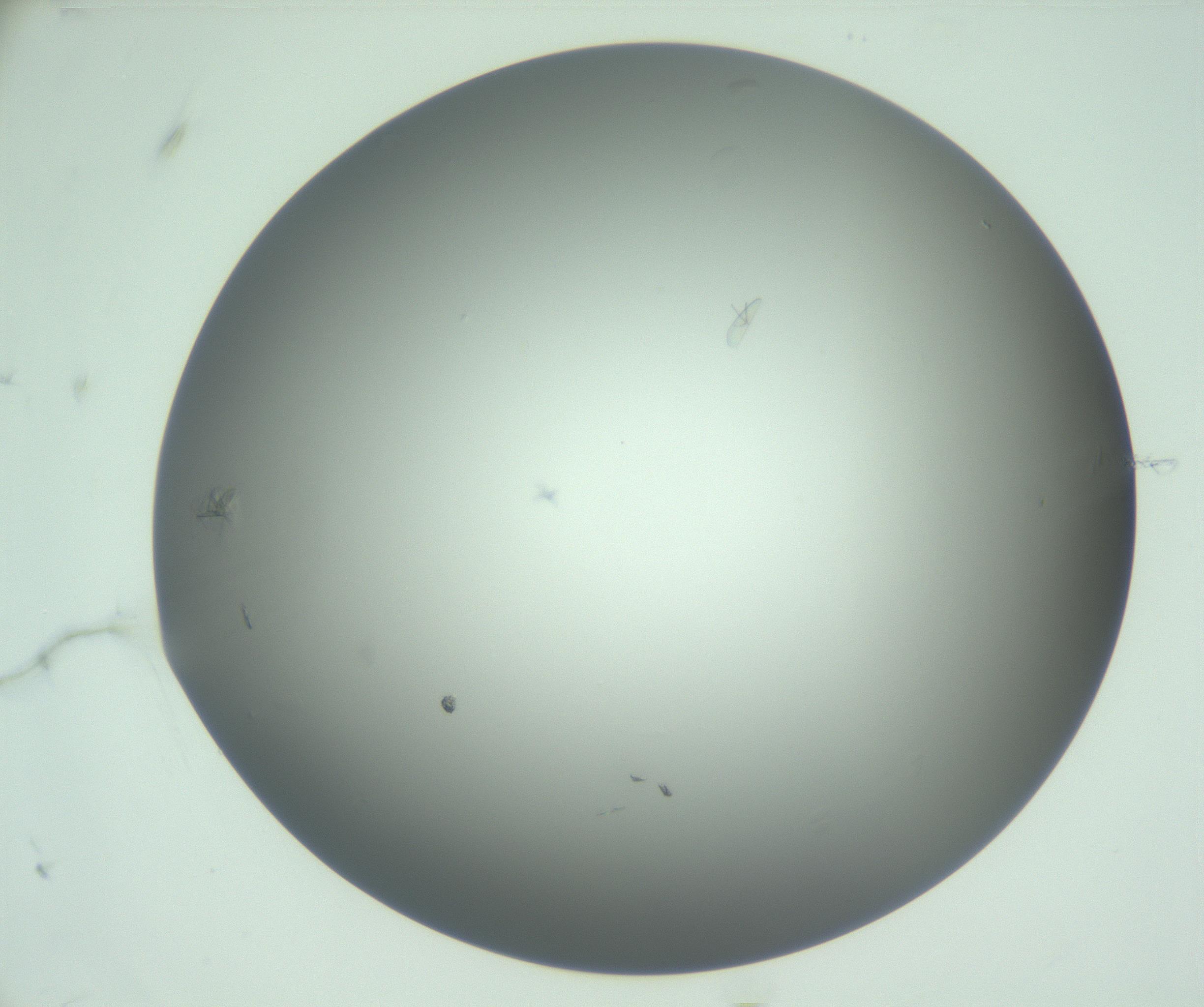 RI01_03_000_0212_Proj1_Clon1_MC_0000MC102988_003_161119_11_07_01_00_99_002_001_RAI.jpg