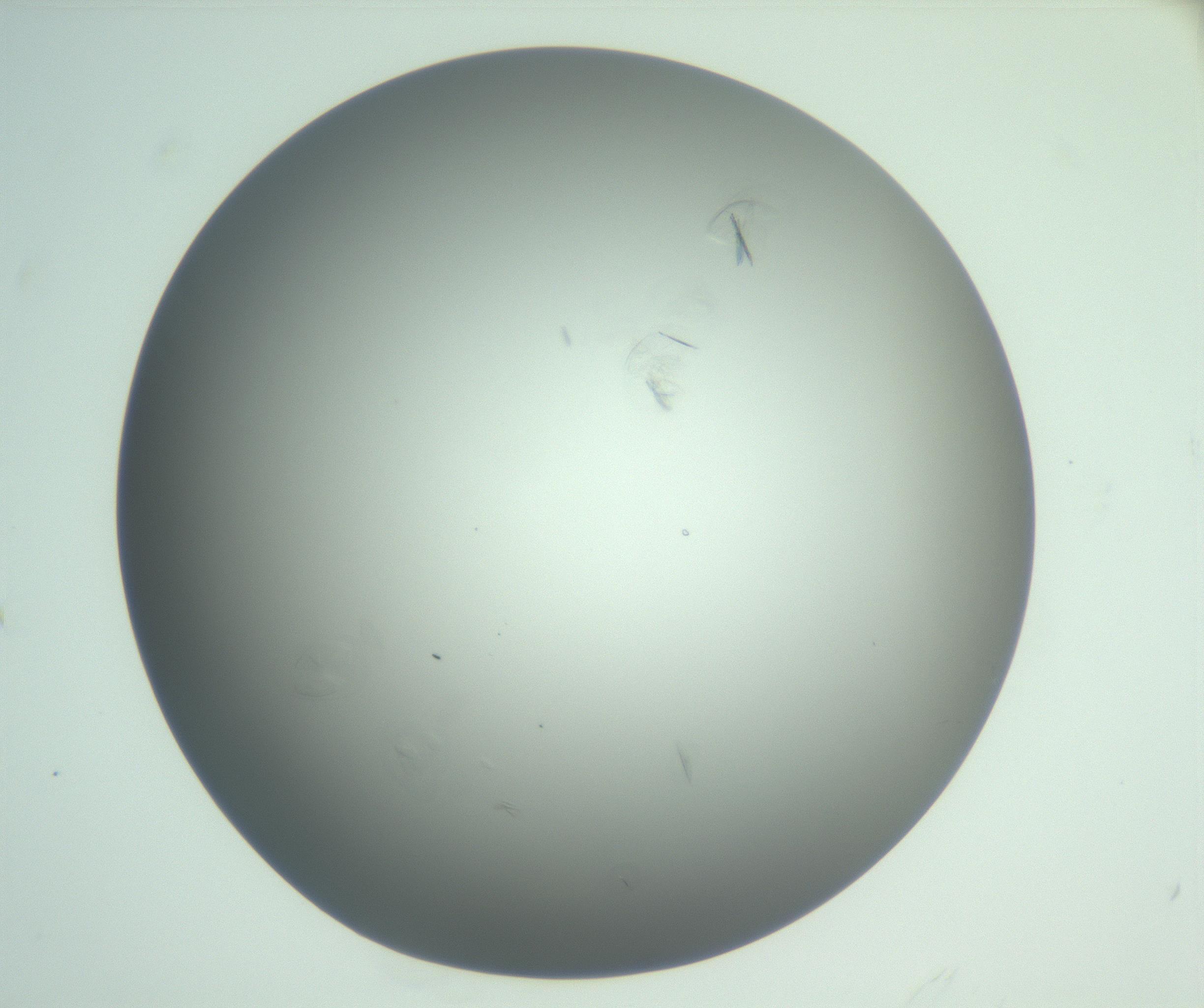 RI01_03_000_0212_Proj1_Clon1_MC_0000MC102988_003_161119_11_08_01_00_99_002_001_RAI.jpg