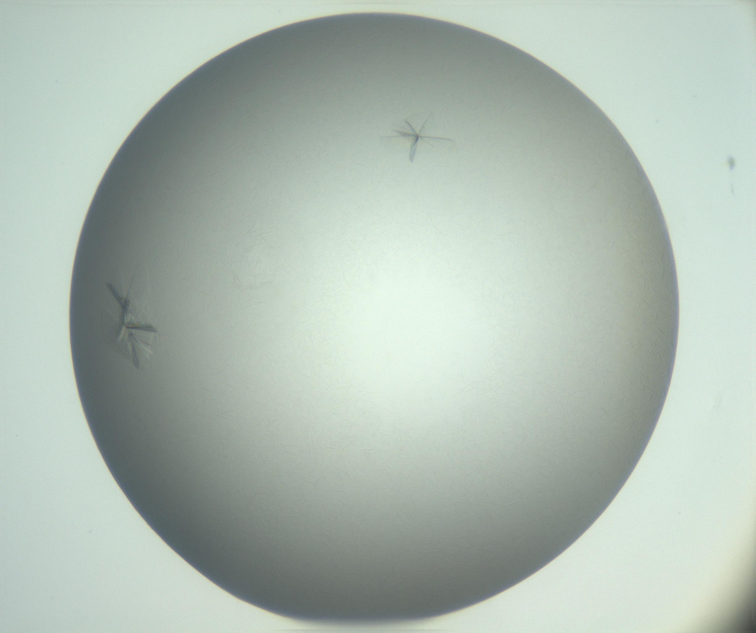 RI01_03_000_0212_Proj1_Clon1_MC_0000MC102988_003_161119_12_03_01_00_99_002_001_RAI.jpg