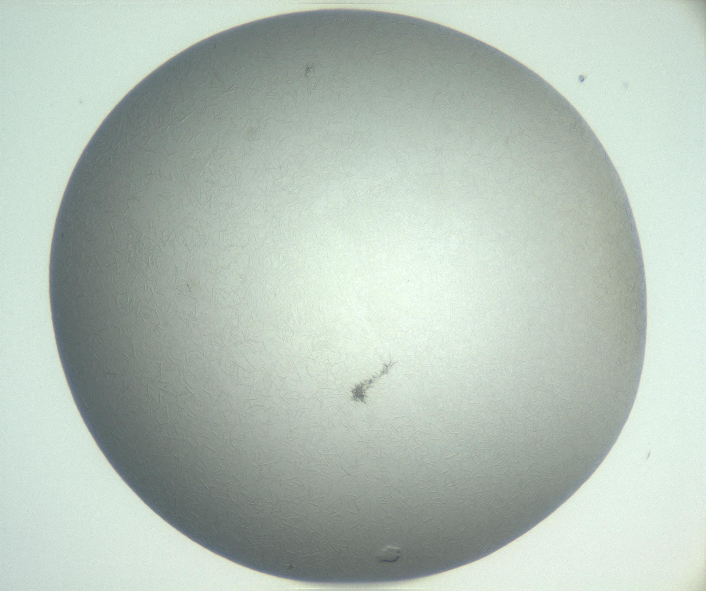 RI01_03_000_0212_Proj1_Clon1_MC_0000MC102988_003_161119_12_04_01_00_99_002_001_RAI.jpg