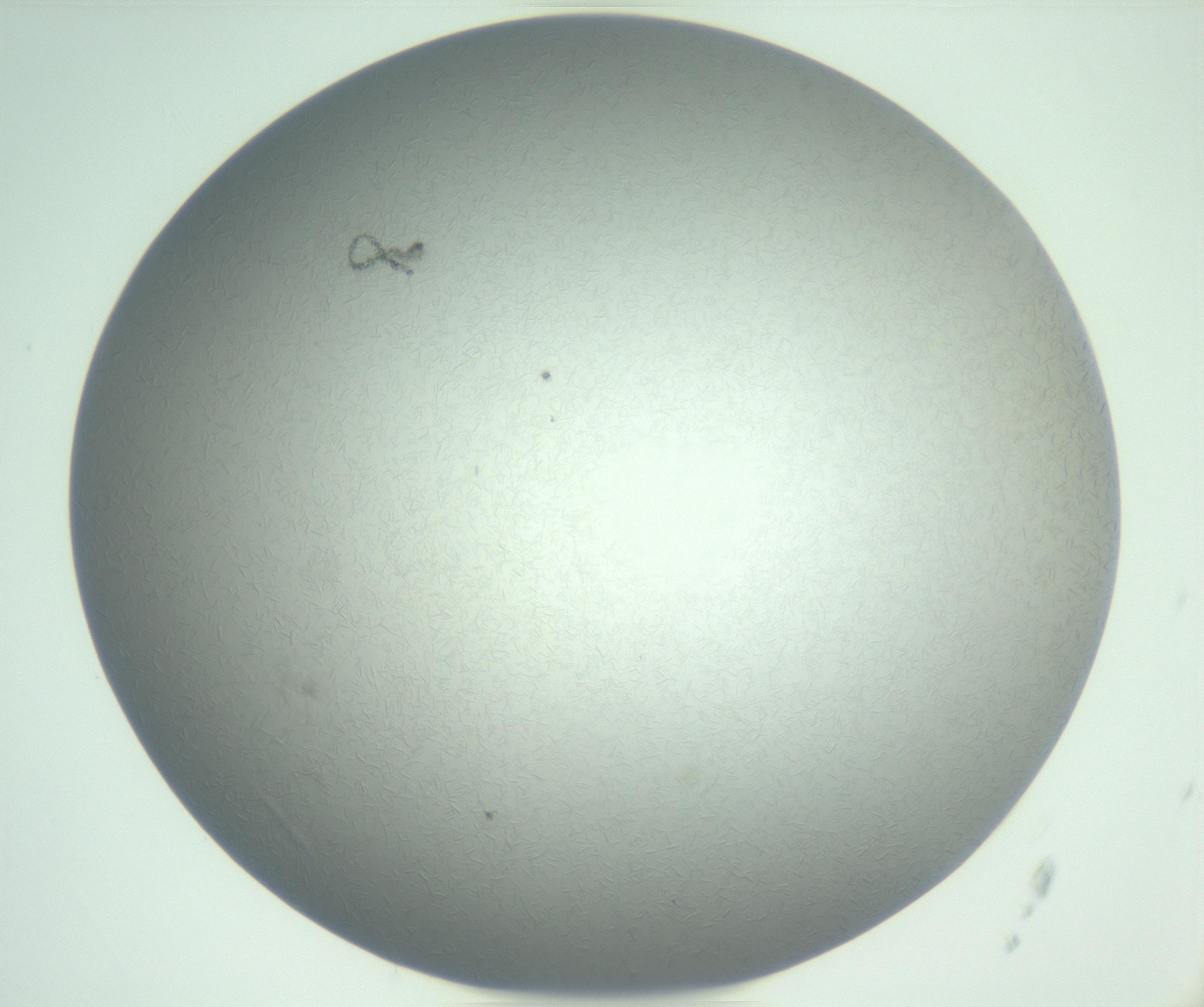 RI01_03_000_0212_Proj1_Clon1_MC_0000MC102988_003_161119_12_06_01_00_99_002_001_RAI.jpg