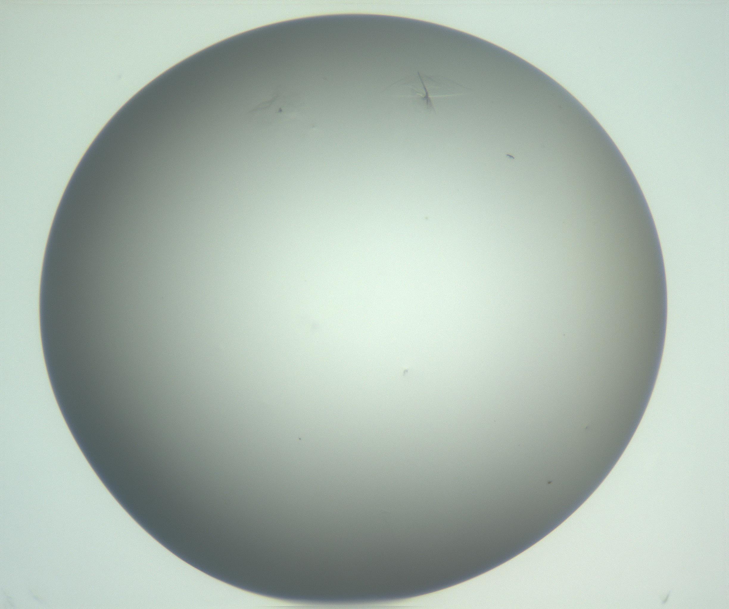 RI01_03_000_0212_Proj1_Clon1_MC_0000MC102988_003_161119_12_08_01_00_99_002_001_RAI.jpg