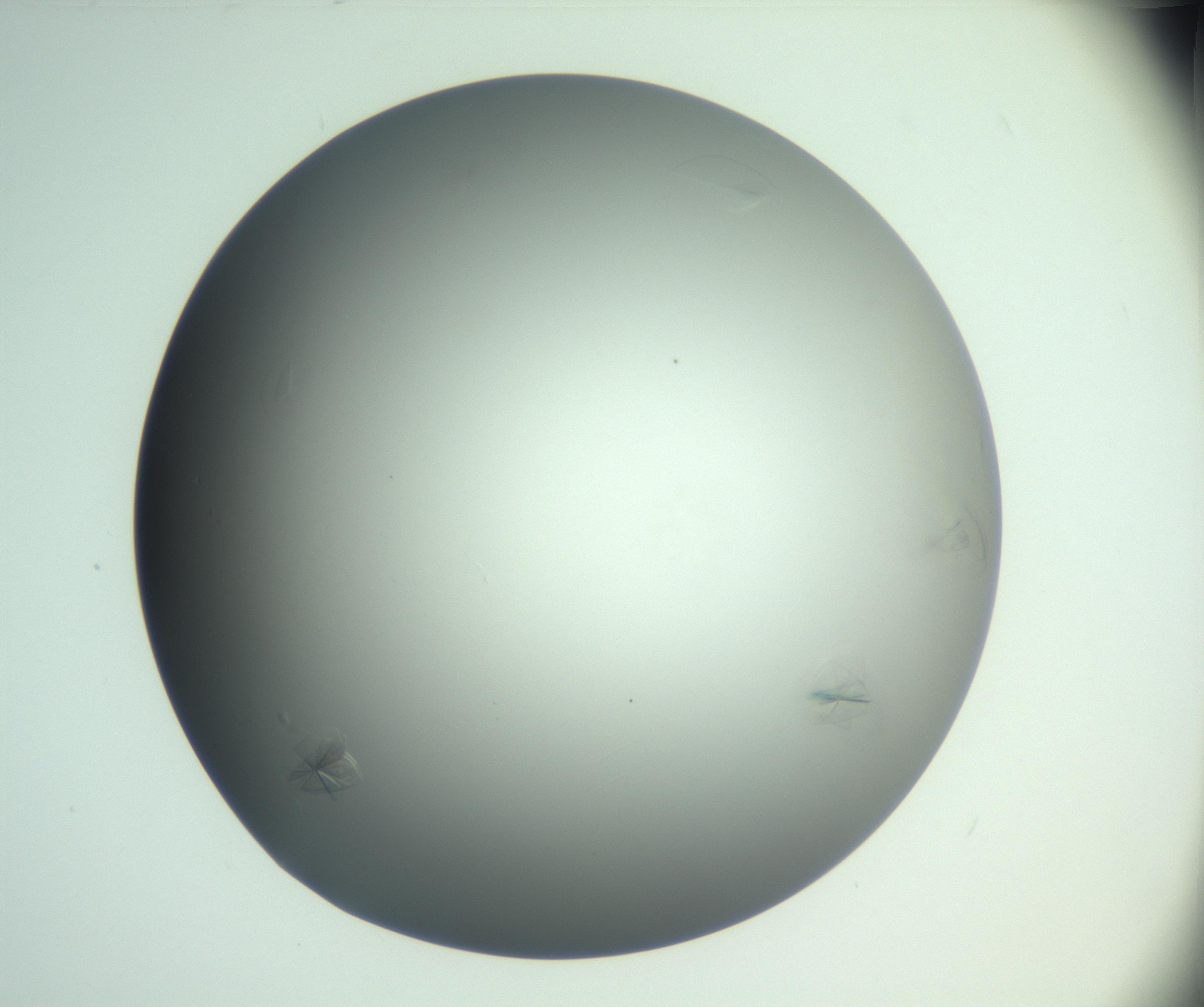 RI01_03_000_0212_Proj1_Clon1_MC_0000MC102988_004_161121_02_08_01_00_99_002_001_RAI.jpg