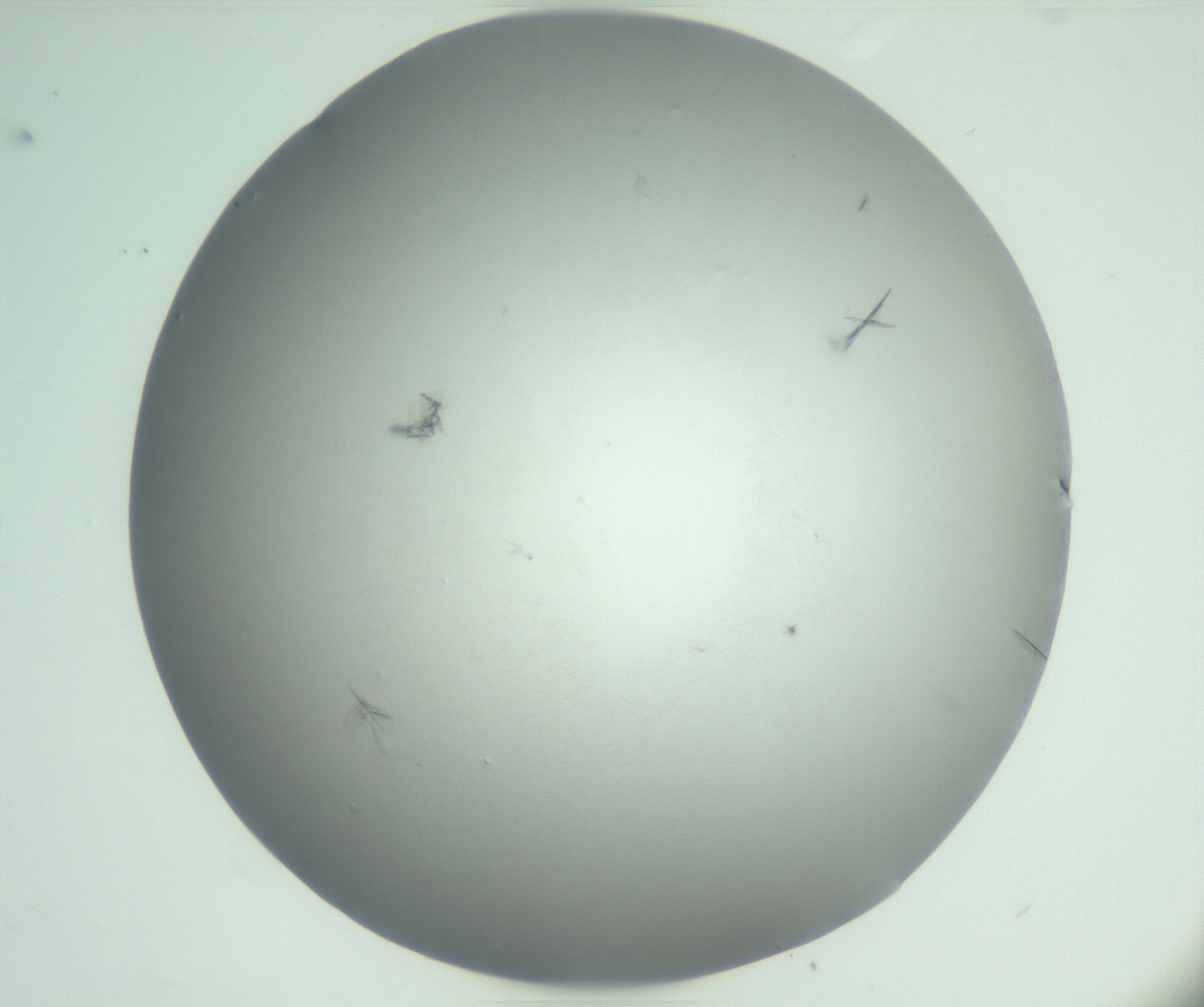 RI01_03_000_0212_Proj1_Clon1_MC_0000MC102988_004_161121_07_03_01_00_99_002_001_RAI.jpg