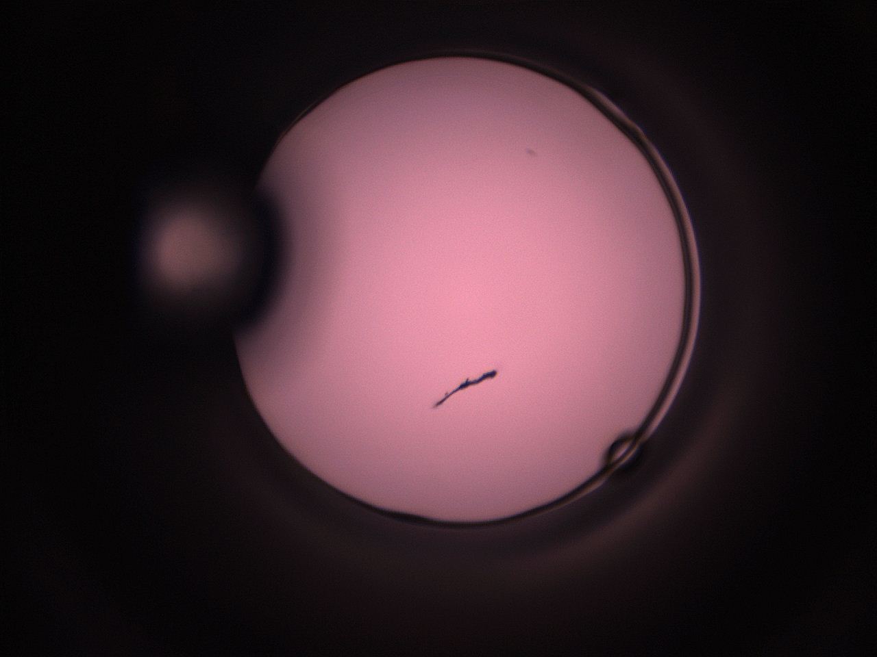 05i4_L12_ImagerDefaults_1.jpg