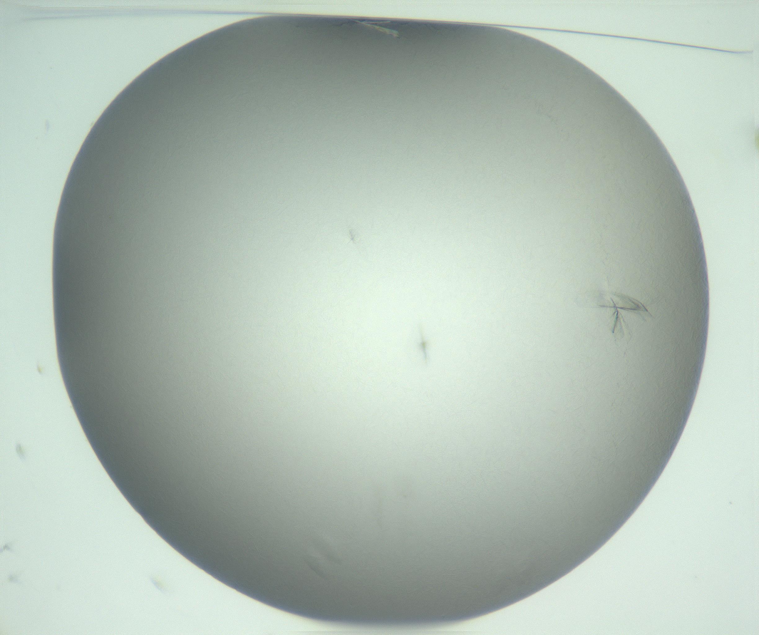RI01_03_000_0212_Proj1_Clon1_MC_0000MC102988_004_161121_10_01_01_00_99_002_001_RAI.jpg