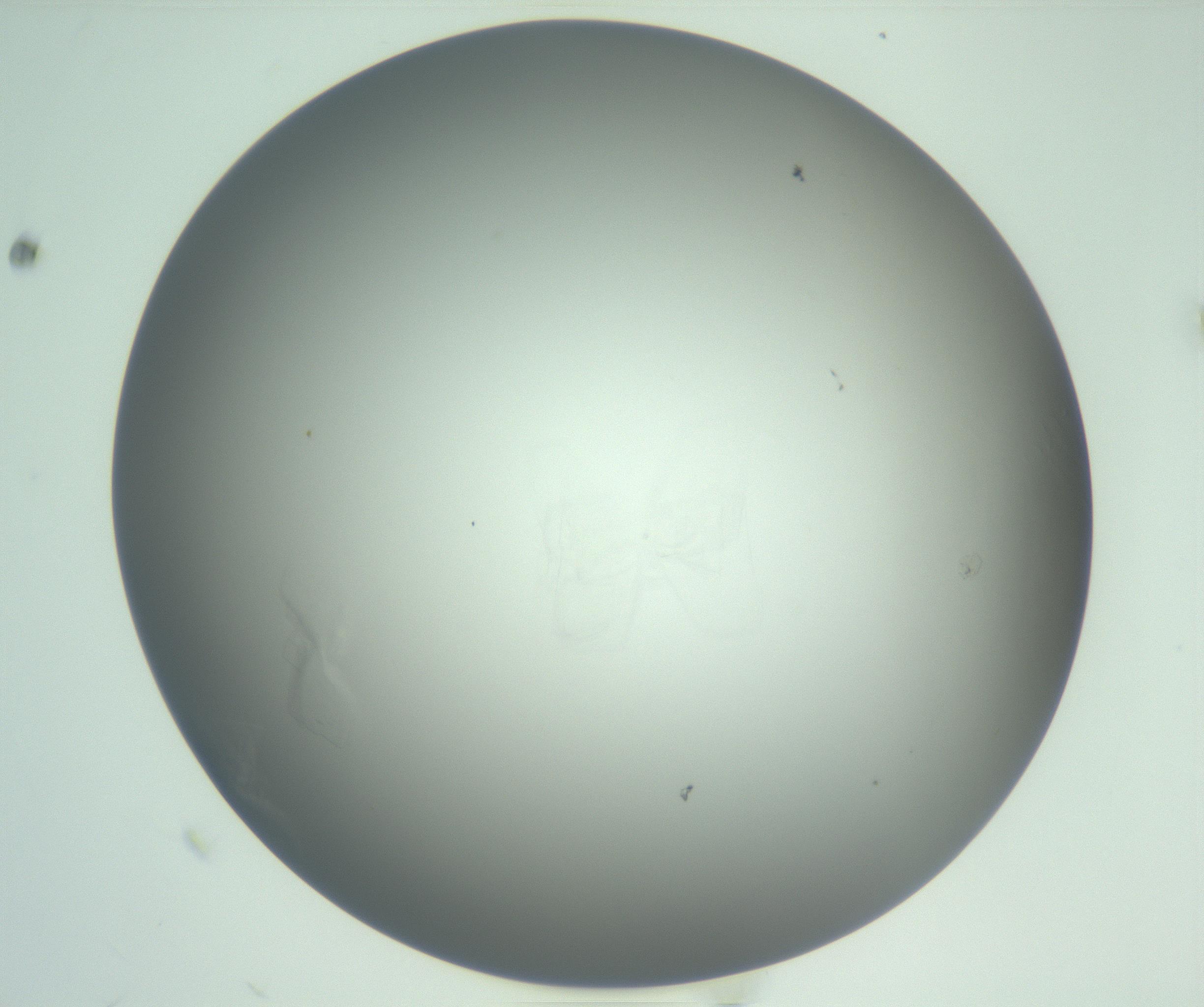 RI01_03_000_0212_Proj1_Clon1_MC_0000MC102988_004_161121_12_01_01_00_99_002_001_RAI.jpg