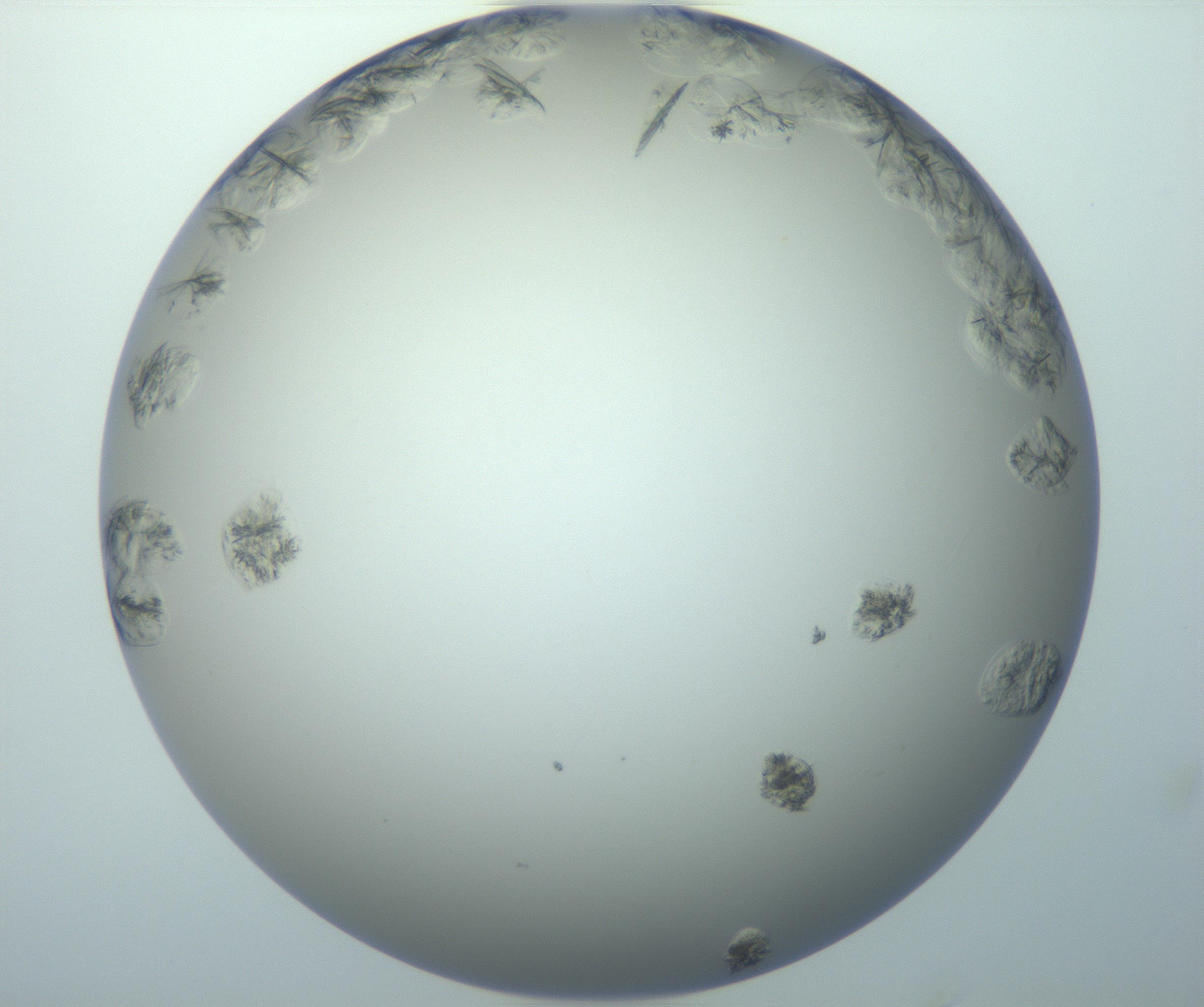 RI01_03_000_0212_Proj1_Clon1_MC_0000MC102995_005_161124_10_06_01_00_99_002_001_RAI.jpg