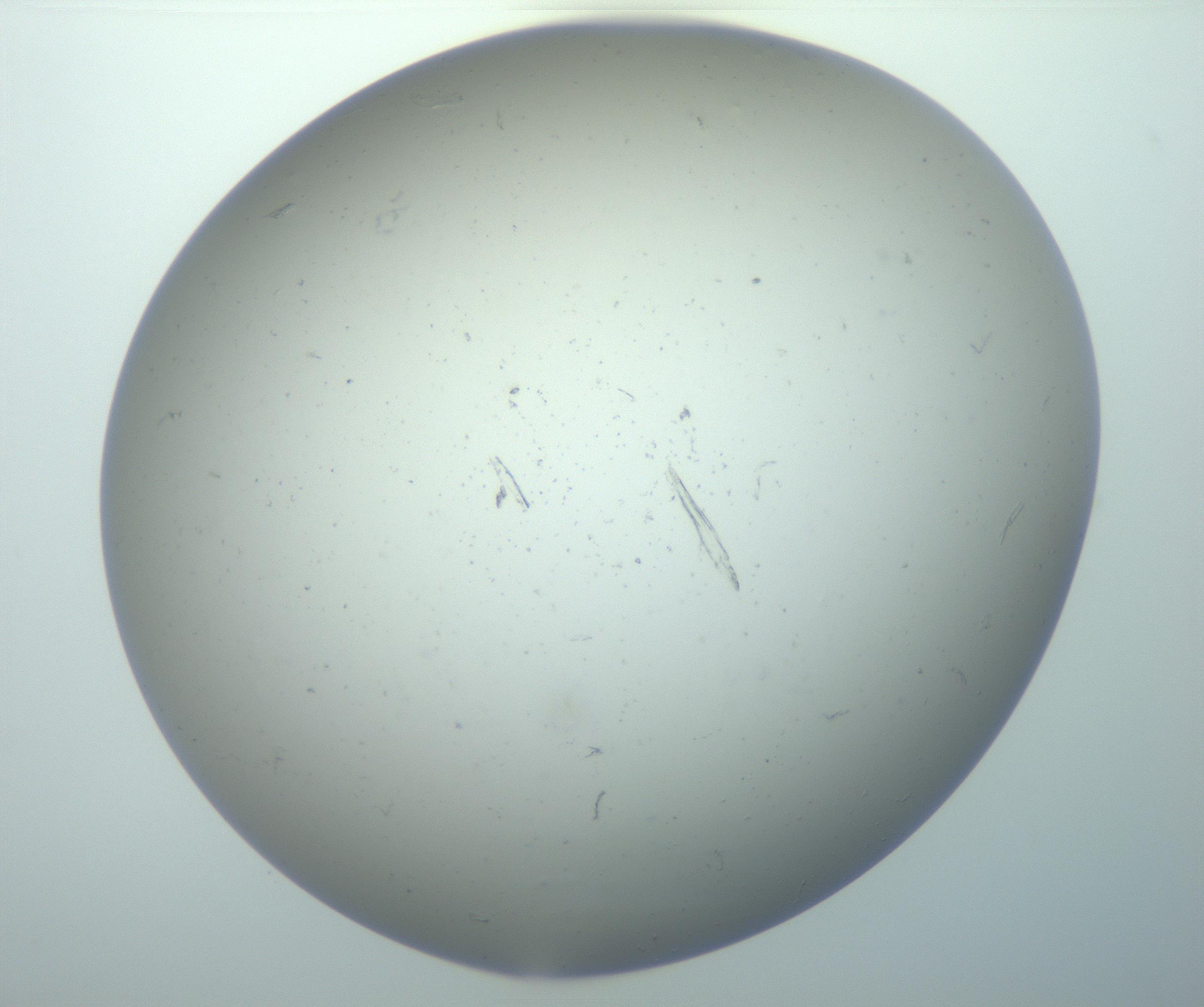 RI01_03_000_0212_Proj1_Clon1_MC_0000MC102996_005_161124_01_08_02_00_99_002_001_RAI.jpg