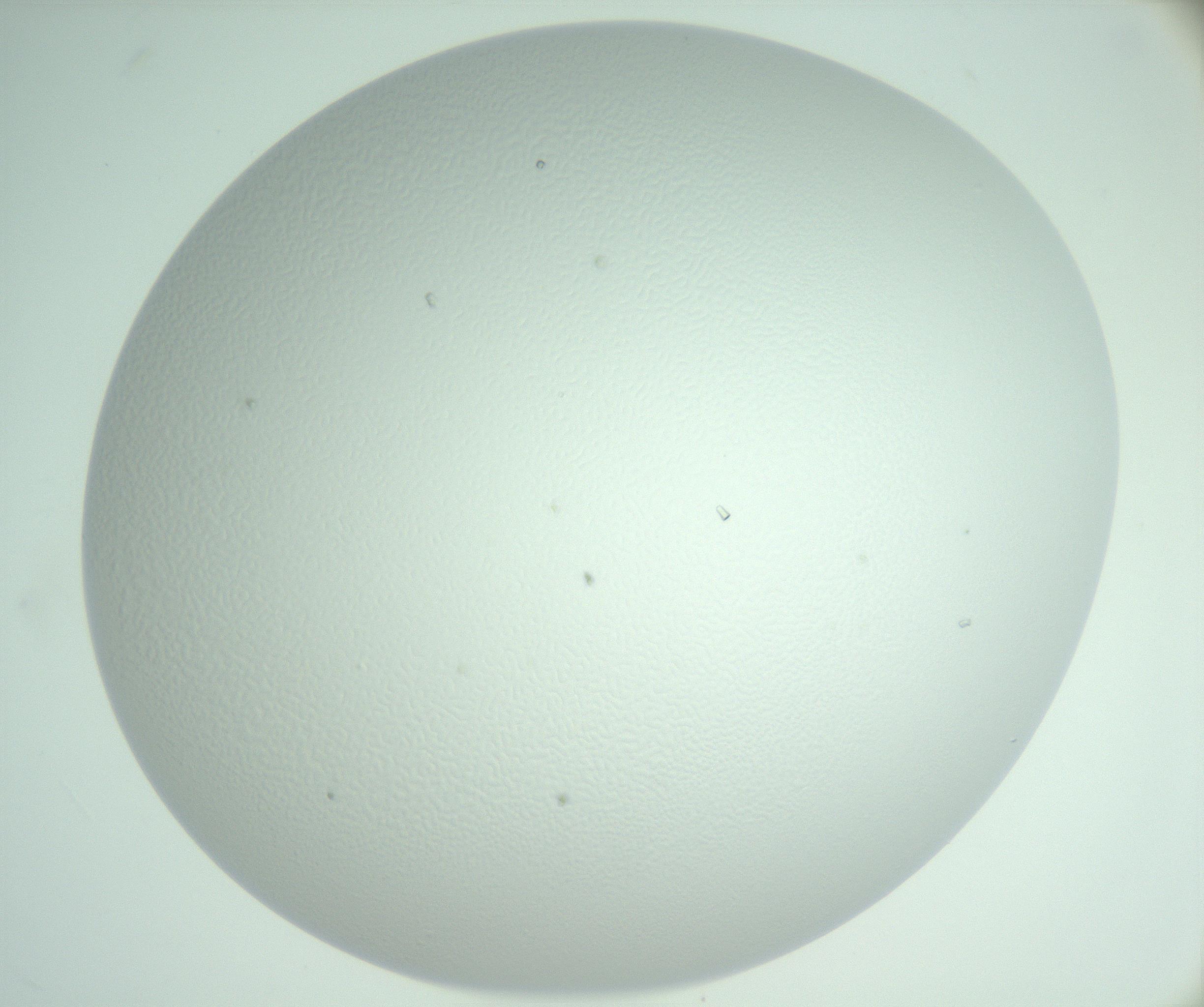 RI01_03_000_0212_Proj1_Clon1_MC_0000MC103007_003_161121_02_06_02_00_99_002_001_RAI.jpg