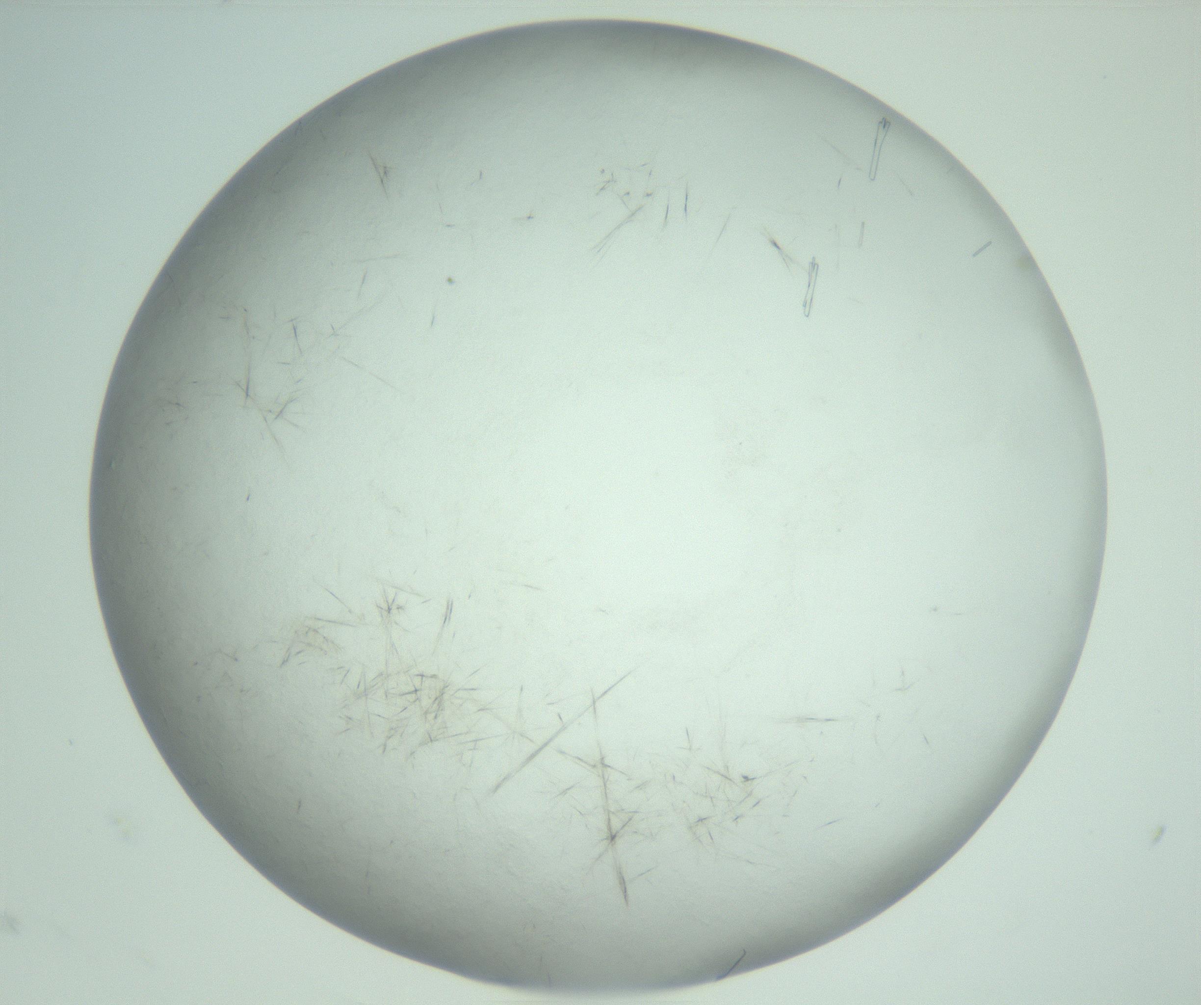 RI01_03_000_0212_Proj1_Clon1_MC_0000MC103008_004_161123_10_04_02_00_99_002_001_RAI.jpg