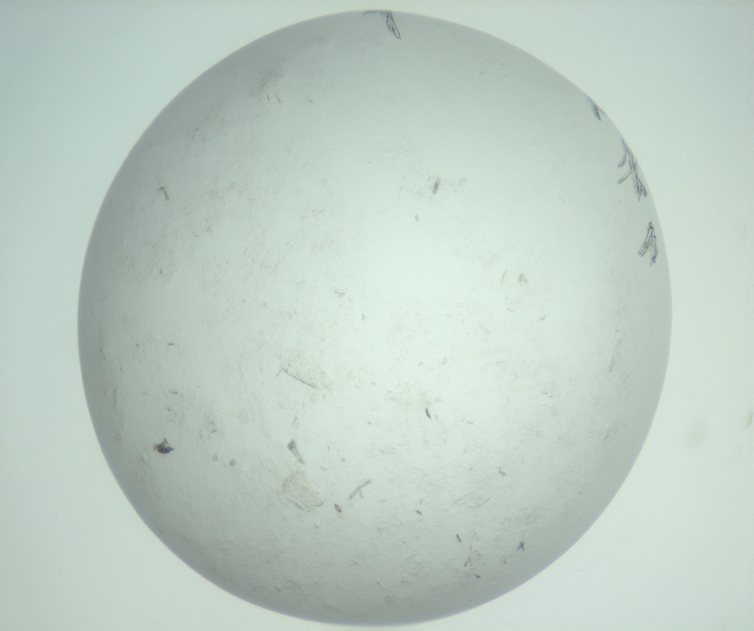 RI01_03_000_0212_Proj1_Clon1_MC_0000MC103009_002_161119_11_07_02_00_99_002_001_RAI.jpg