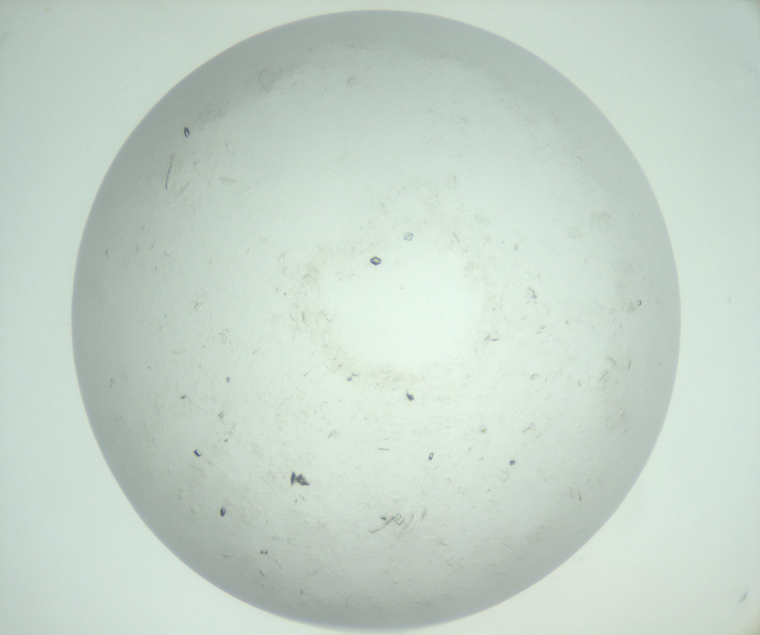 RI01_03_000_0212_Proj1_Clon1_MC_0000MC103009_002_161119_12_05_02_00_99_002_001_RAI.jpg