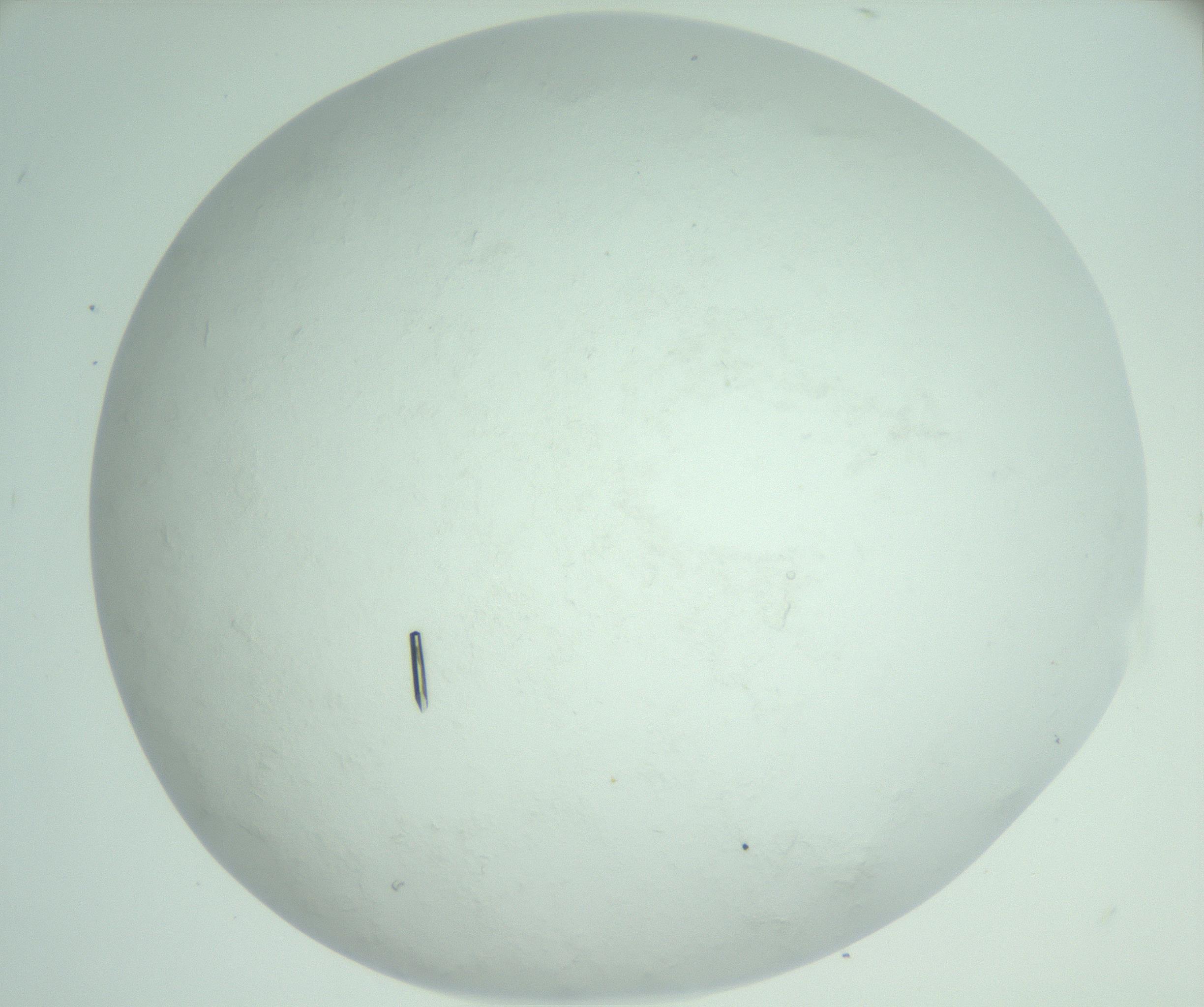 RI01_03_000_0212_Proj1_Clon1_MC_0000MC103009_003_161121_03_06_02_00_99_002_001_RAI.jpg