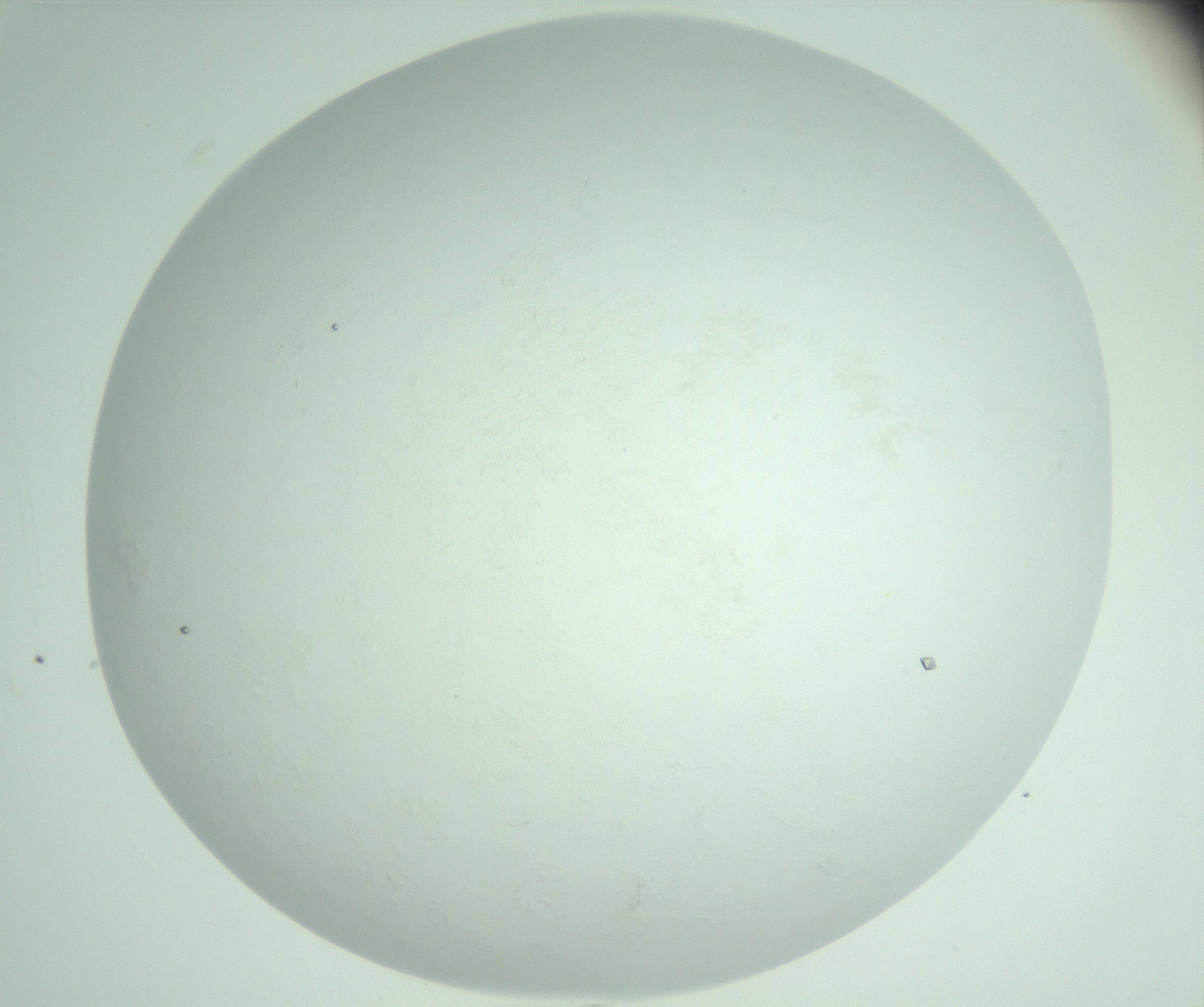 RI01_03_000_0212_Proj1_Clon1_MC_0000MC103009_005_161125_02_06_02_00_99_002_001_RAI.jpg