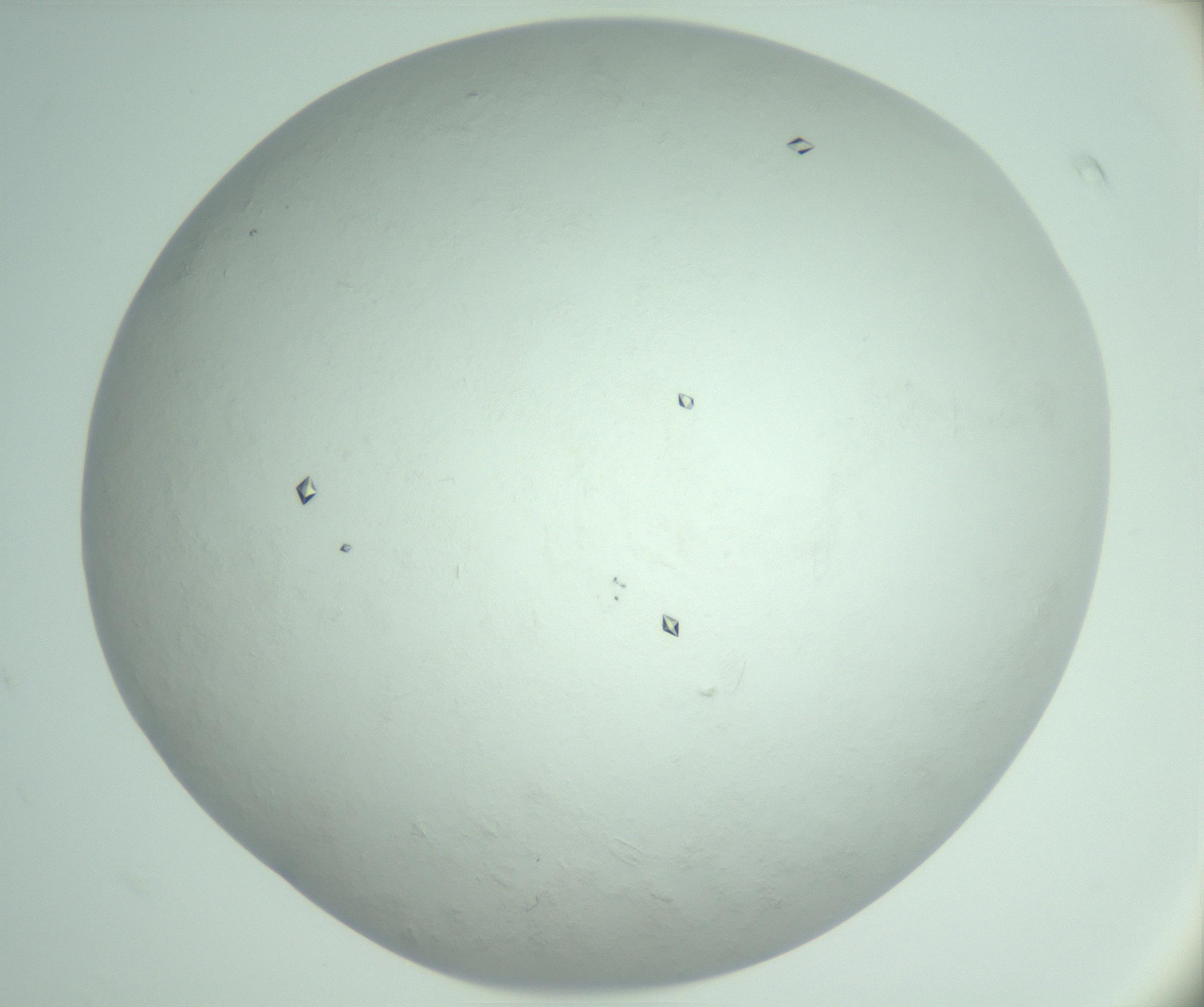 RI01_03_000_0212_Proj1_Clon1_MC_0000MC103009_005_161125_02_07_02_00_99_002_001_RAI.jpg