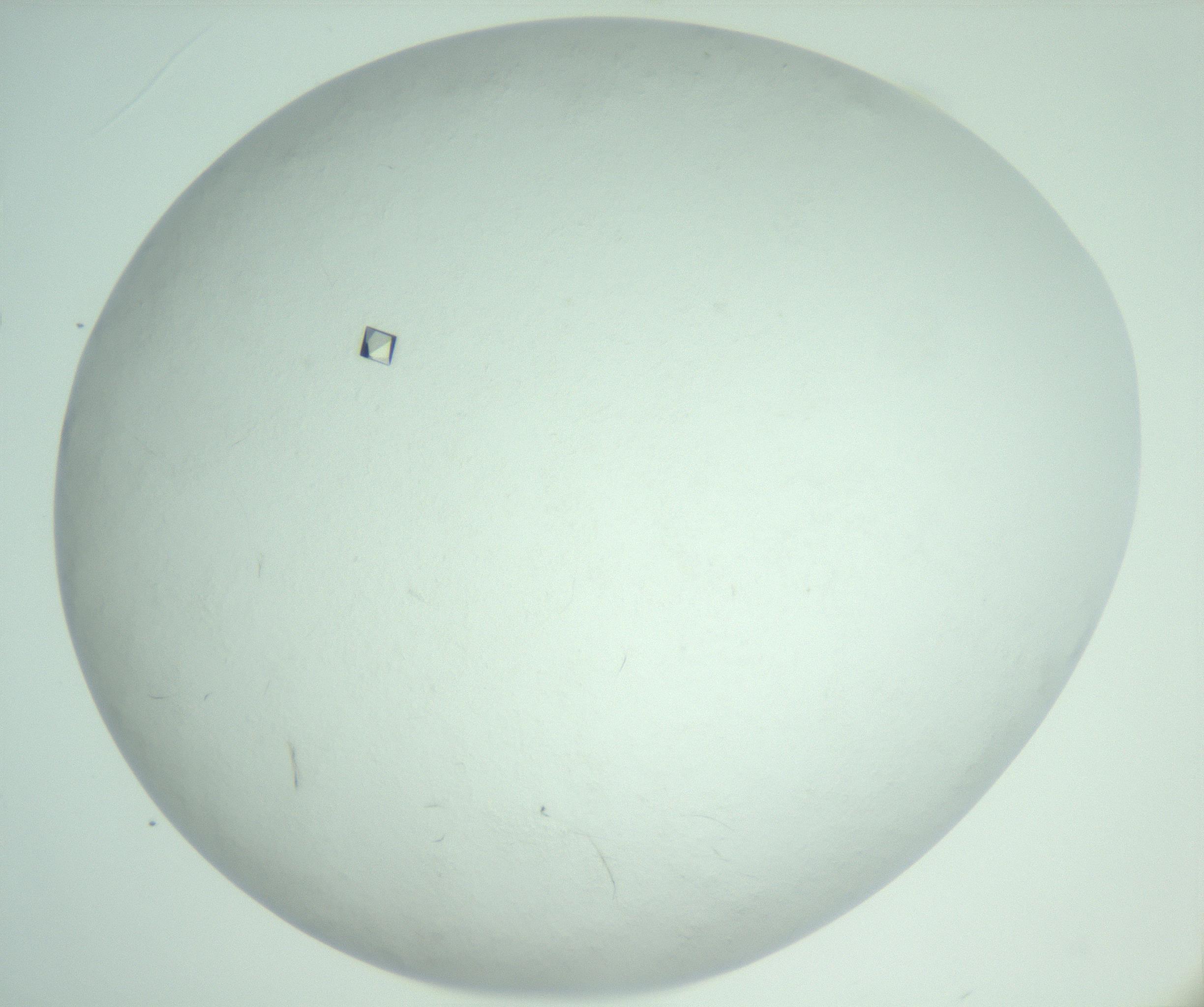 RI01_03_000_0212_Proj1_Clon1_MC_0000MC103009_005_161125_03_01_02_00_99_002_001_RAI.jpg