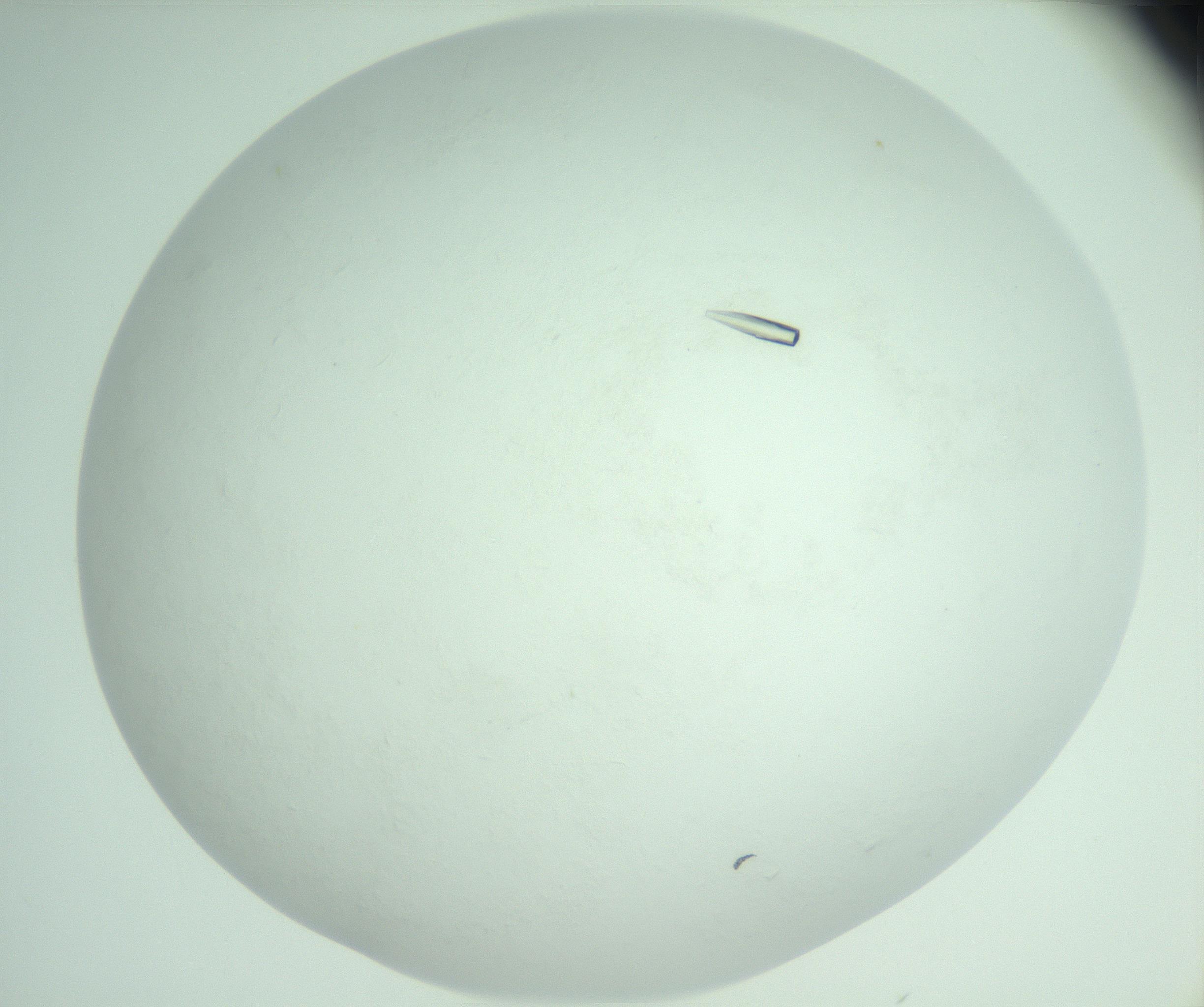 RI01_03_000_0212_Proj1_Clon1_MC_0000MC103009_005_161125_04_06_02_00_99_002_001_RAI.jpg