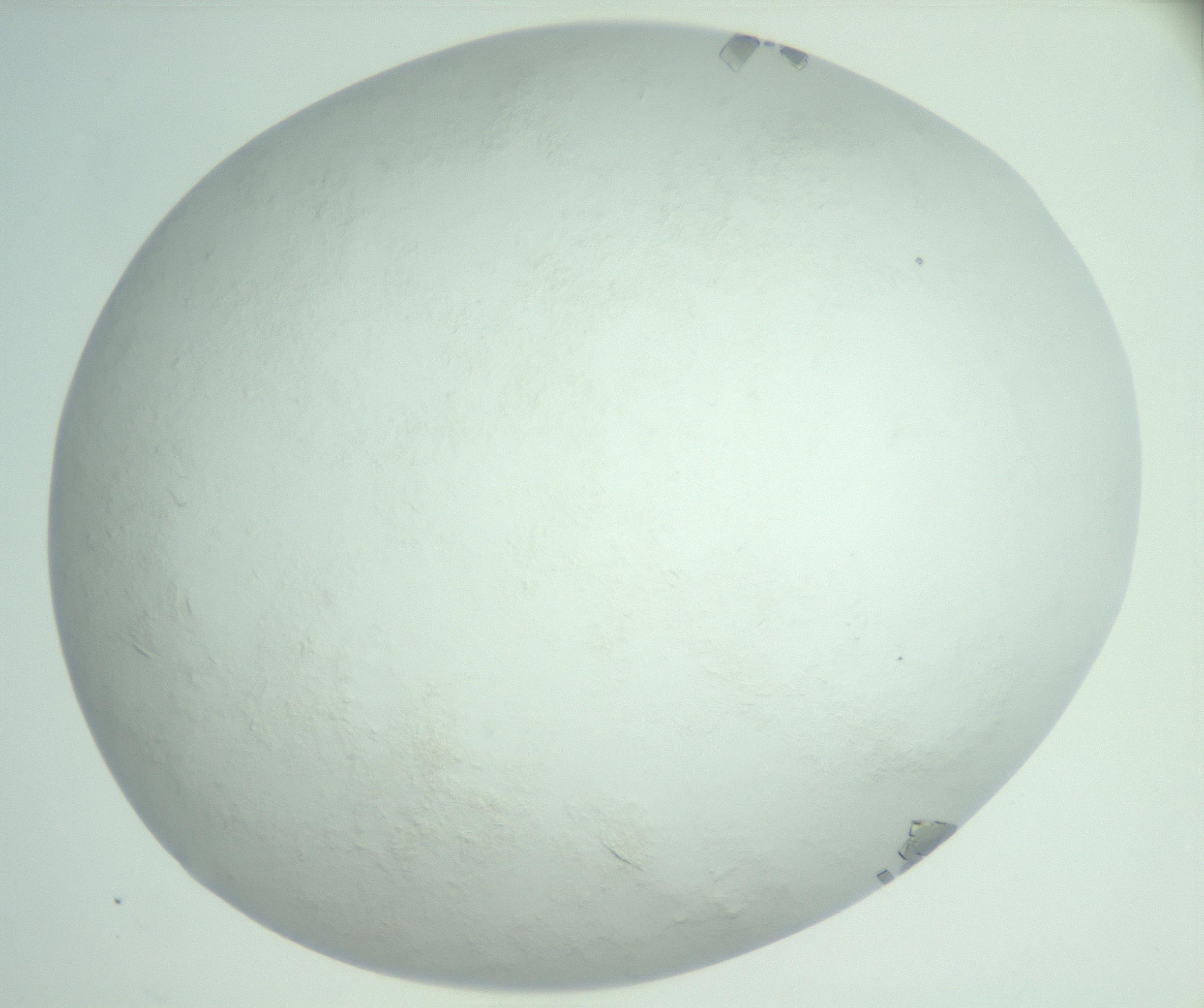 RI01_03_000_0212_Proj1_Clon1_MC_0000MC103009_005_161125_04_08_02_00_99_002_001_RAI.jpg