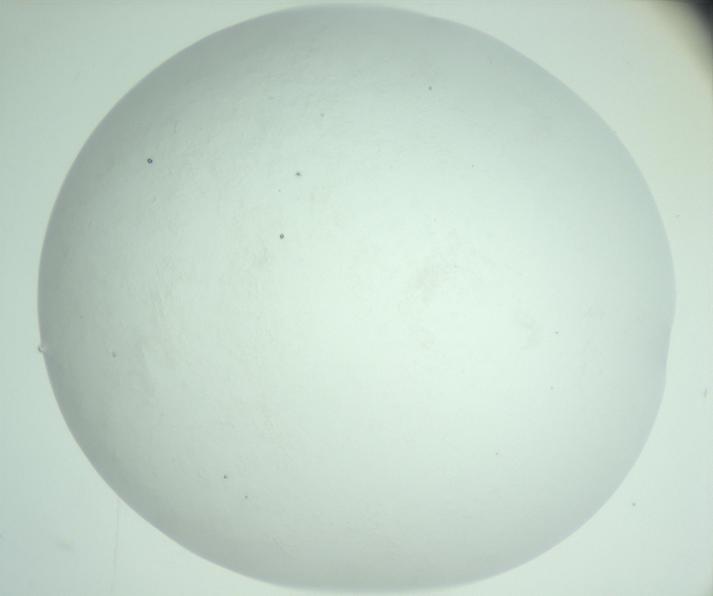 RI01_03_000_0212_Proj1_Clon1_MC_0000MC103009_006_161128_02_05_02_00_99_002_001_RAI.jpg