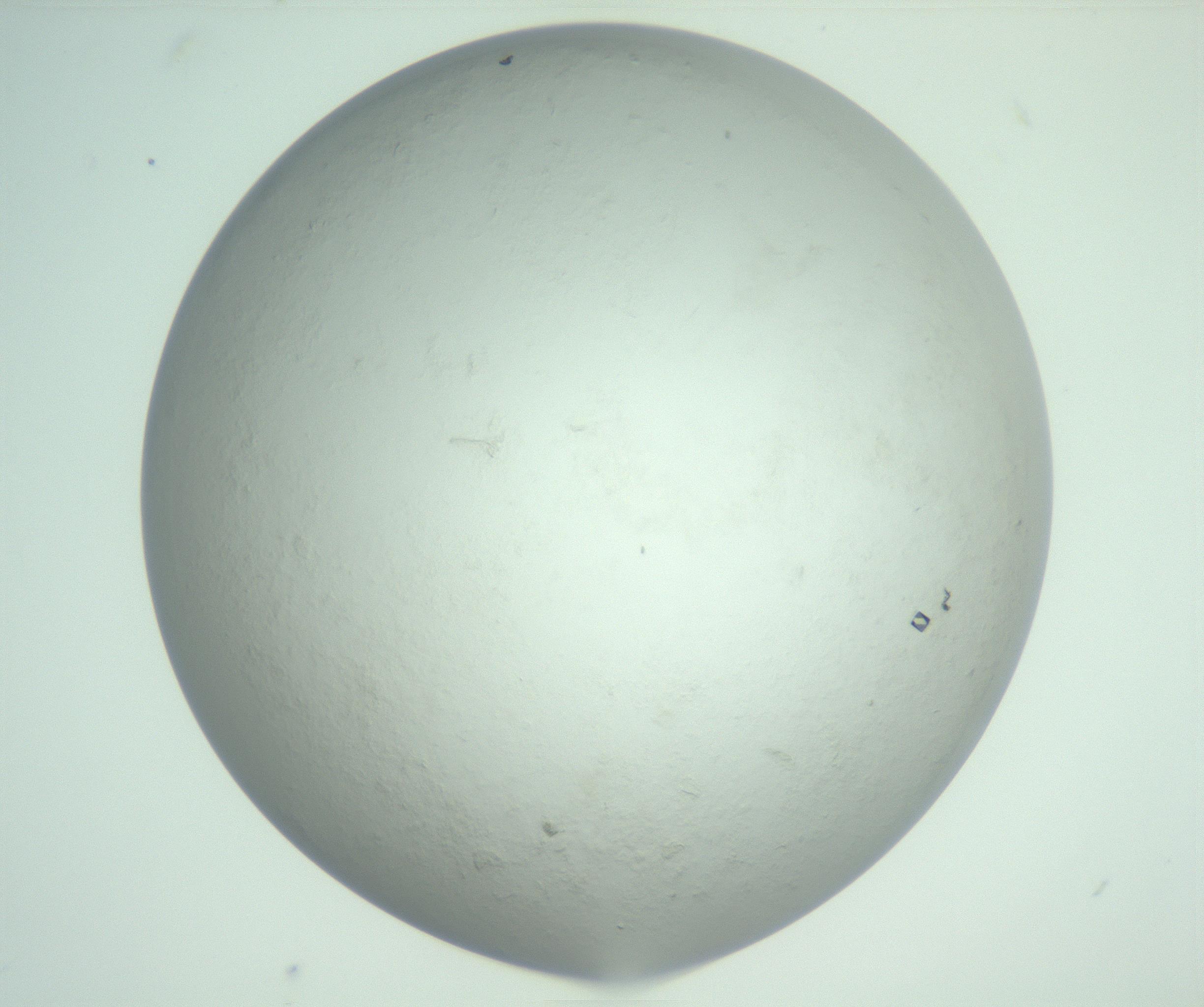 RI01_03_000_0212_Proj1_Clon1_MC_0000MC103010_004_161123_07_03_02_00_99_002_001_RAI.jpg