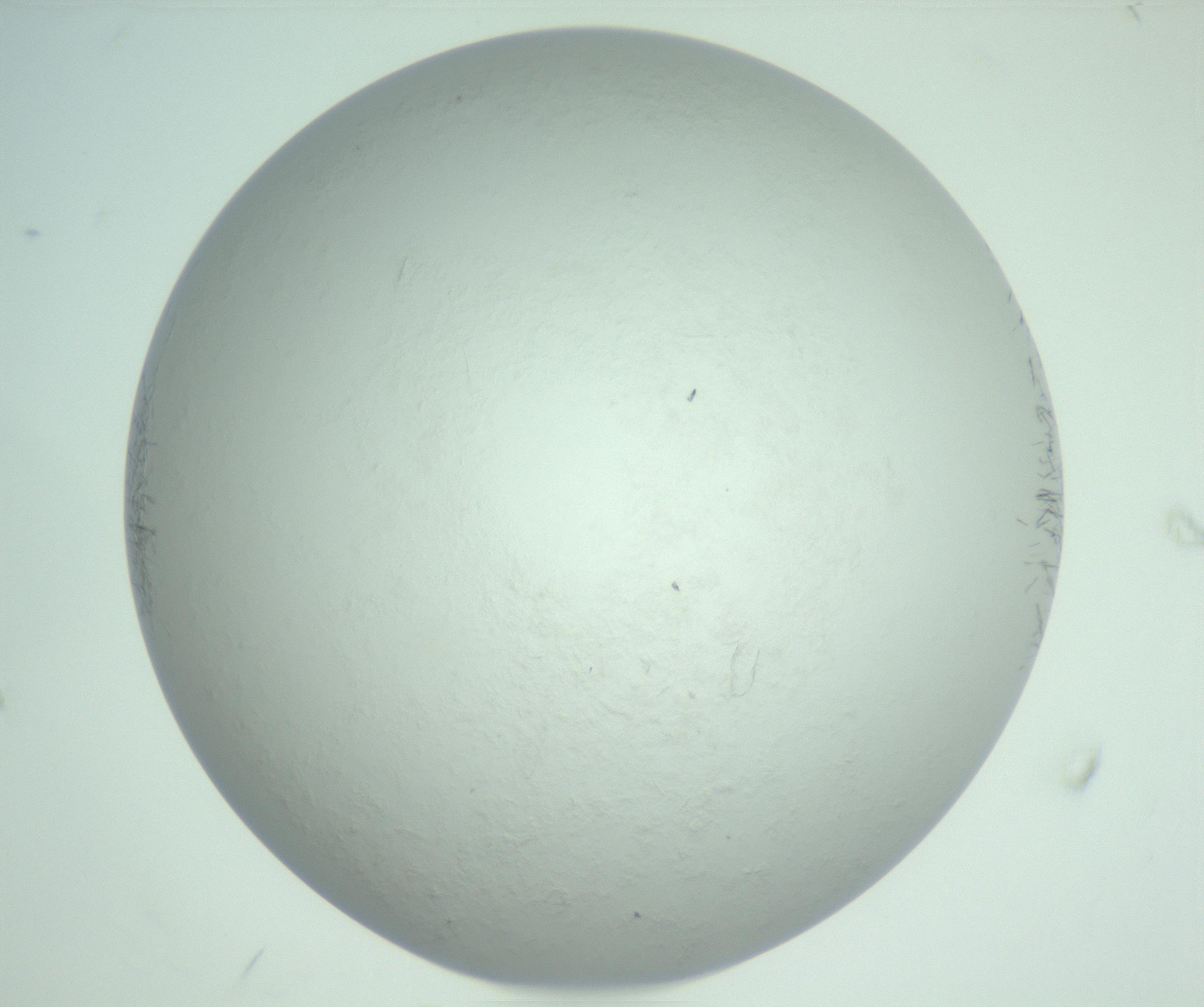 RI01_03_000_0212_Proj1_Clon1_MC_0000MC103010_004_161123_08_05_02_00_99_002_001_RAI.jpg