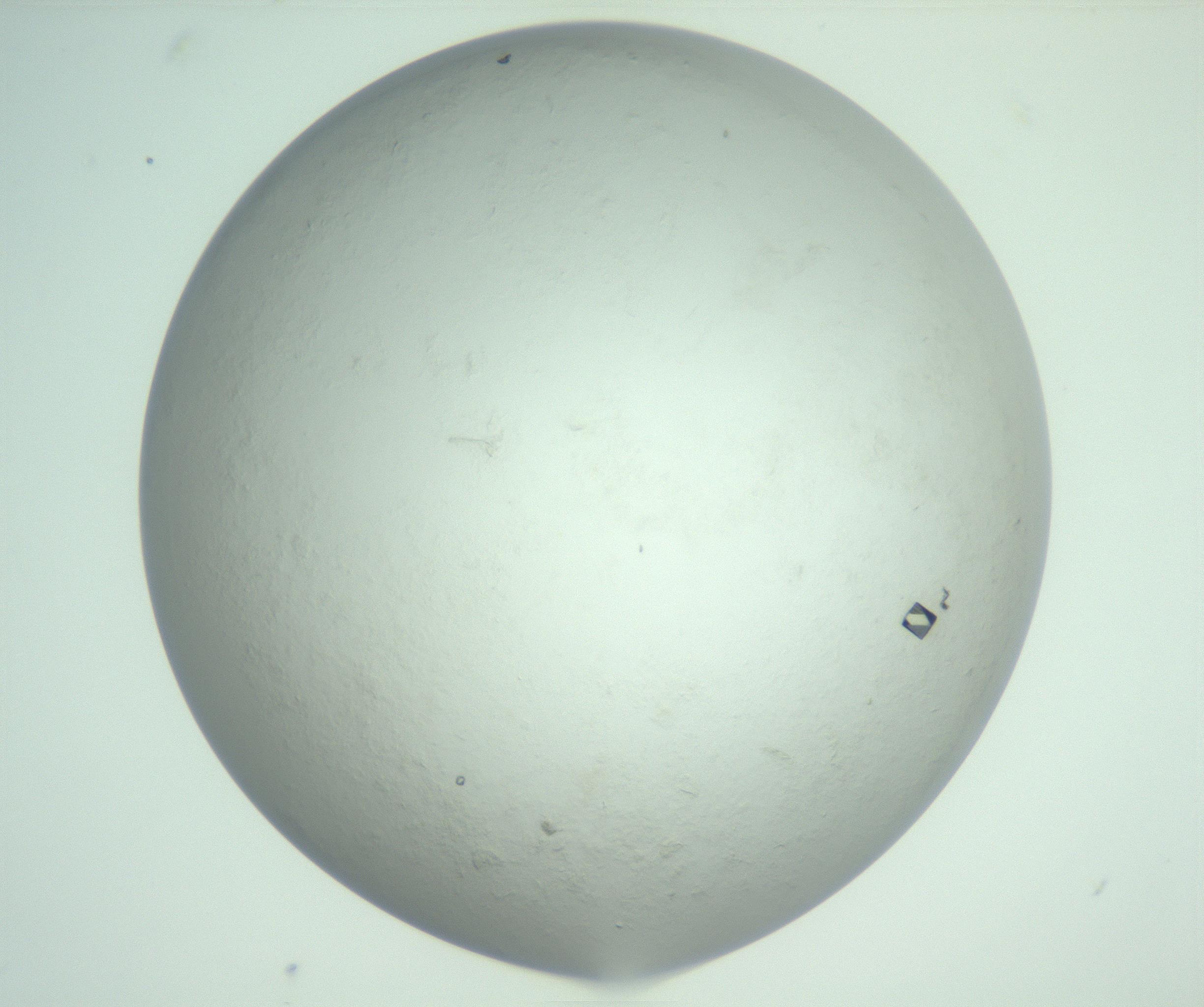 RI01_03_000_0212_Proj1_Clon1_MC_0000MC103010_005_161125_07_03_02_00_99_002_001_RAI.jpg