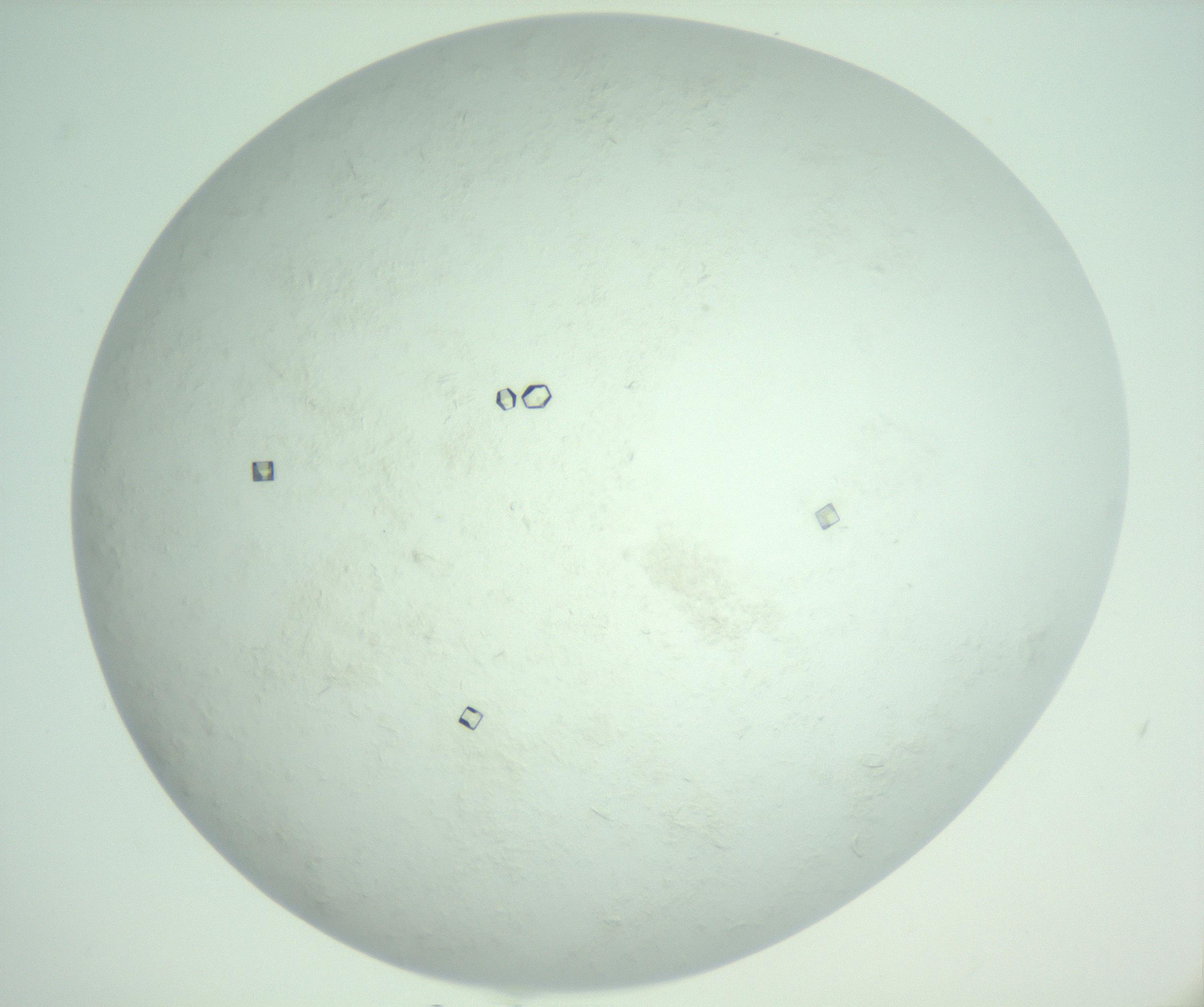 RI01_03_000_0212_Proj1_Clon1_MC_0000MC103011_004_161123_03_07_02_00_99_002_001_RAI.jpg