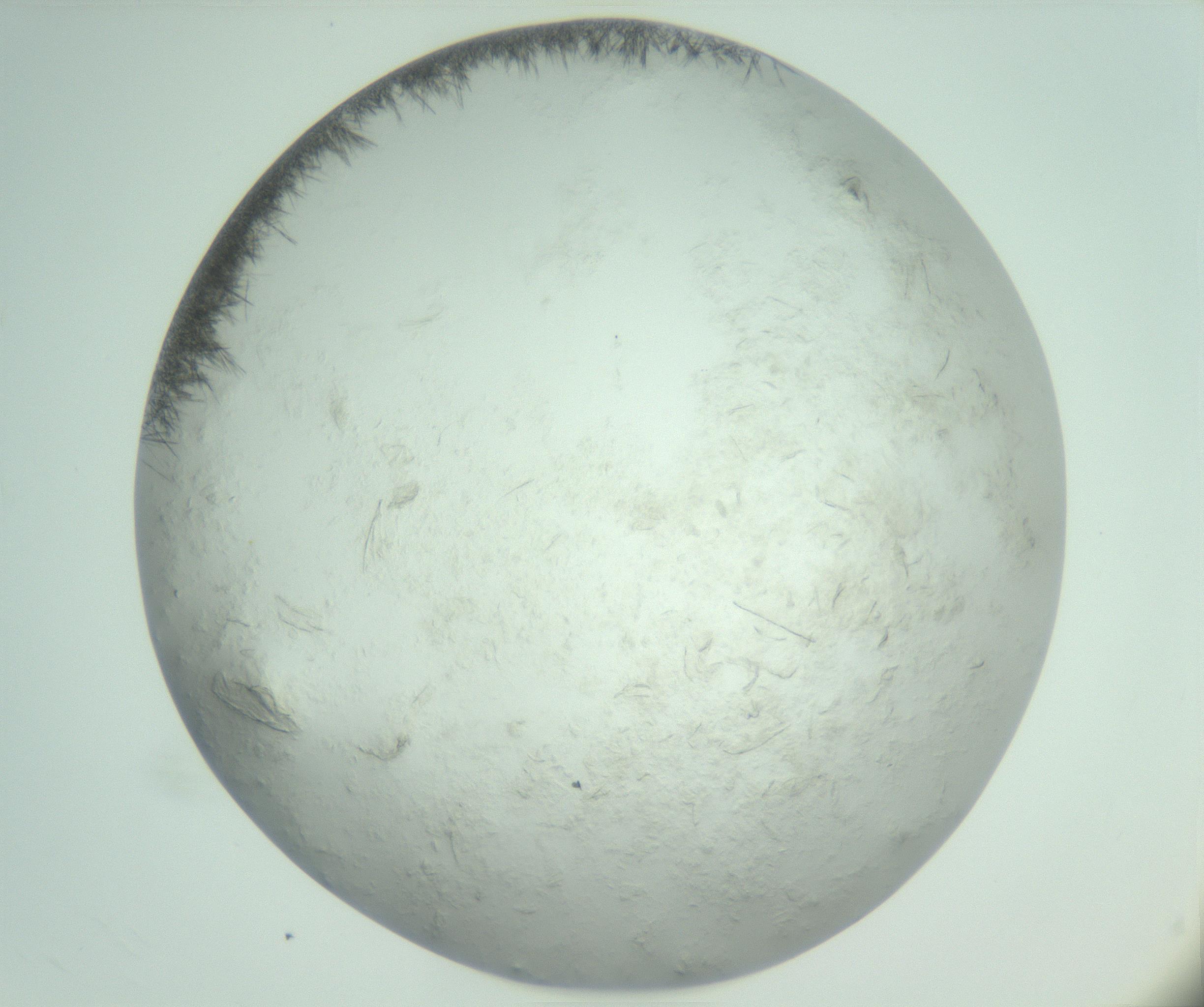 RI01_03_000_0212_Proj1_Clon1_MC_0000MC103011_004_161123_12_03_02_00_99_002_001_RAI.jpg