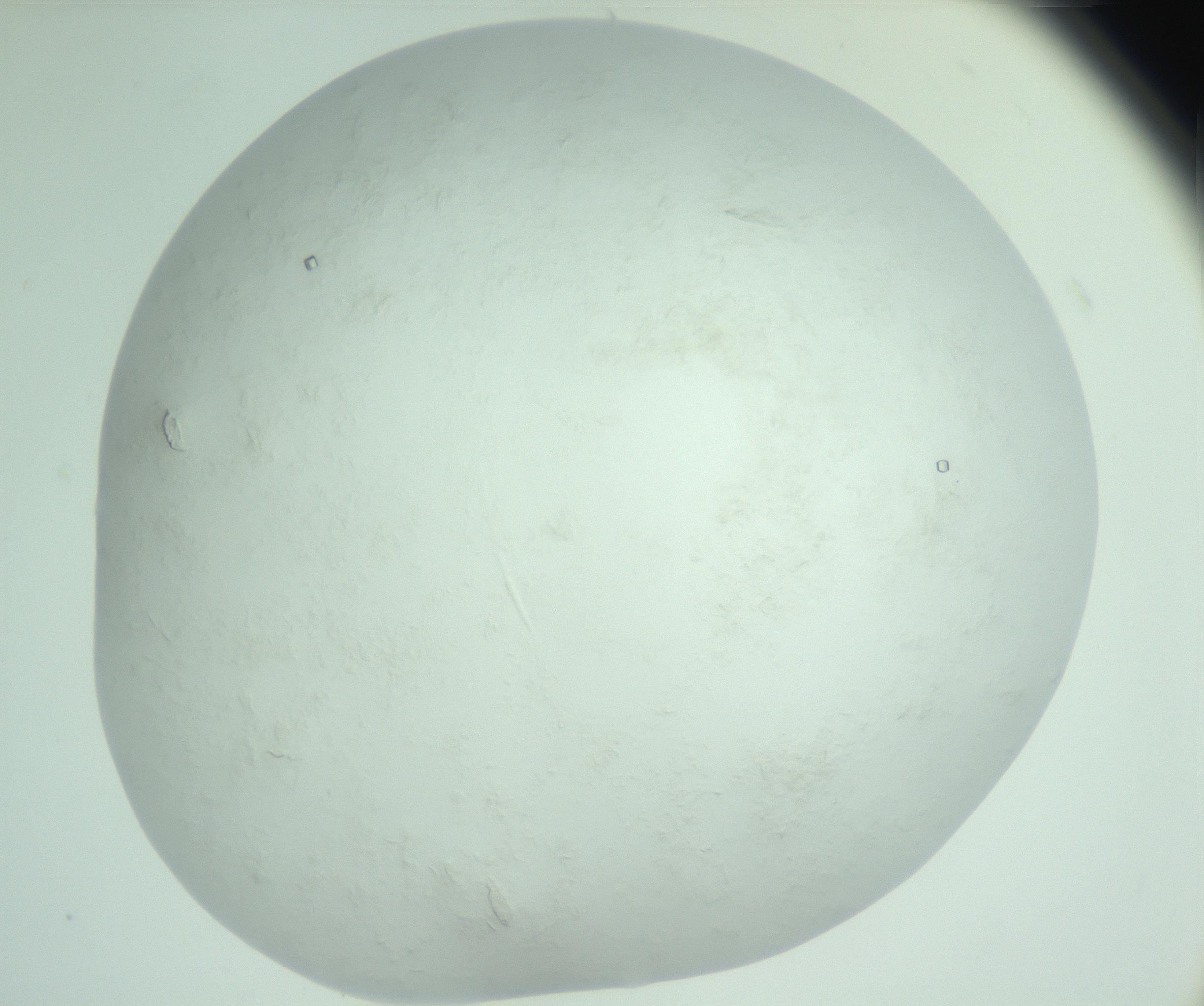 RI01_03_000_0212_Proj1_Clon1_MC_0000MC103011_004_161123_12_07_02_00_99_002_001_RAI.jpg