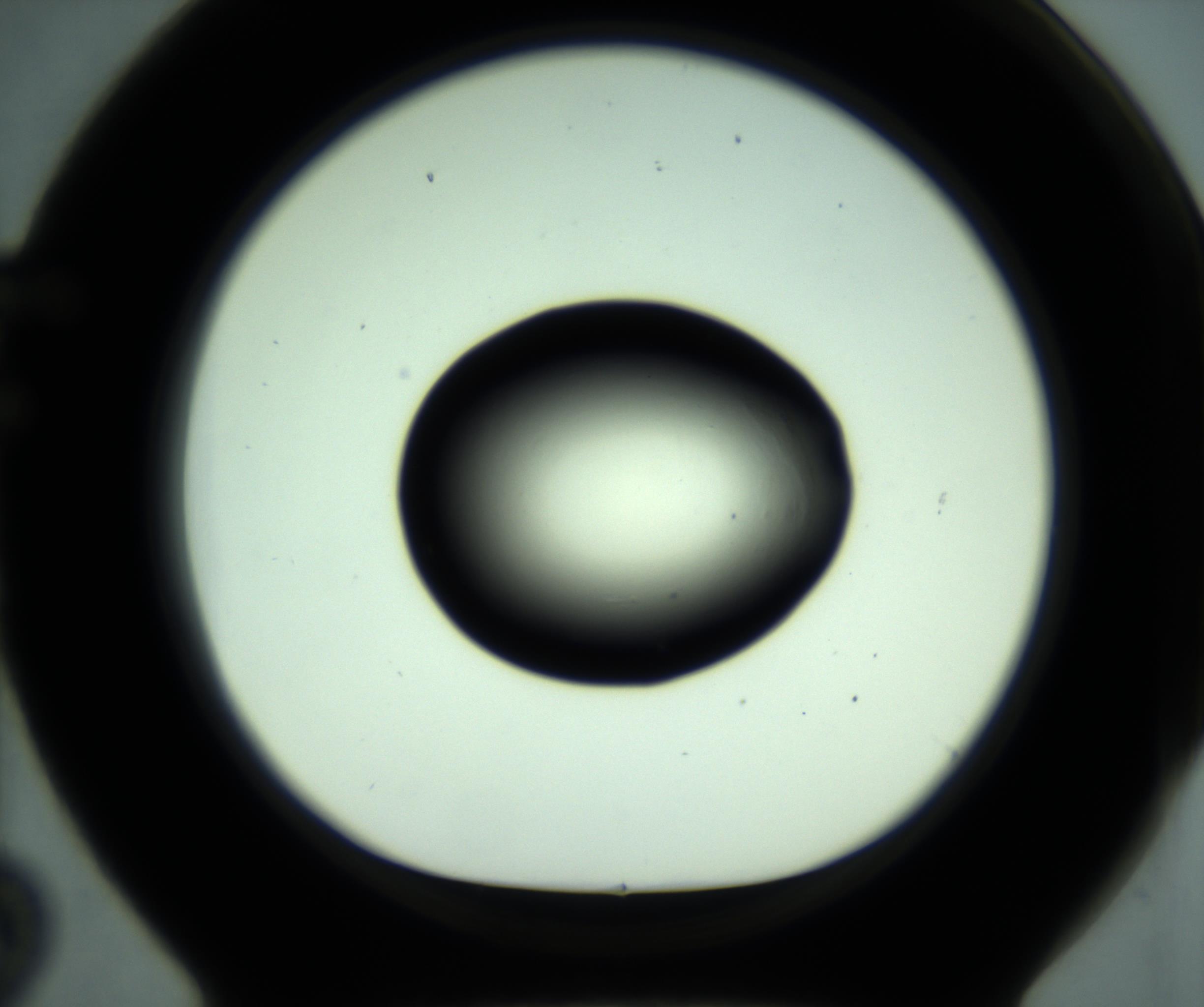 RI01_03_000_0212_Proj1_Clon1_MC_0000MC103012_001_161118_02_06_01_00_98_002_001_RAI.jpg